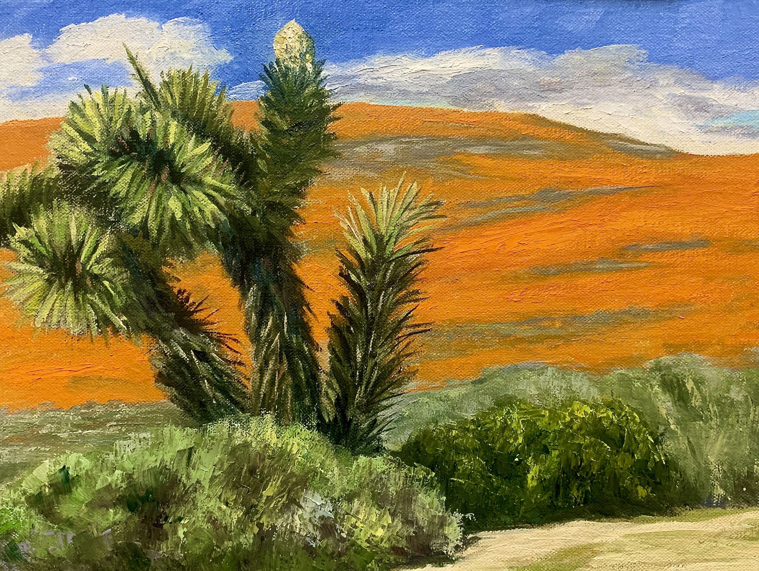 Joshua and Poppies by David Michaels