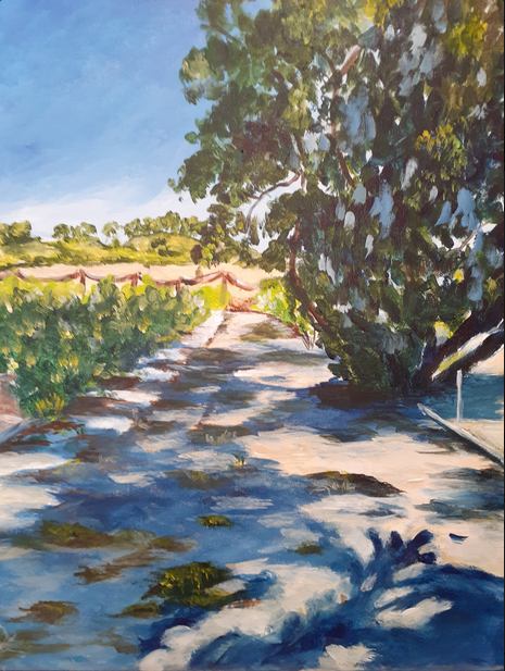 Shadows at the Ranch by Barbara Welch