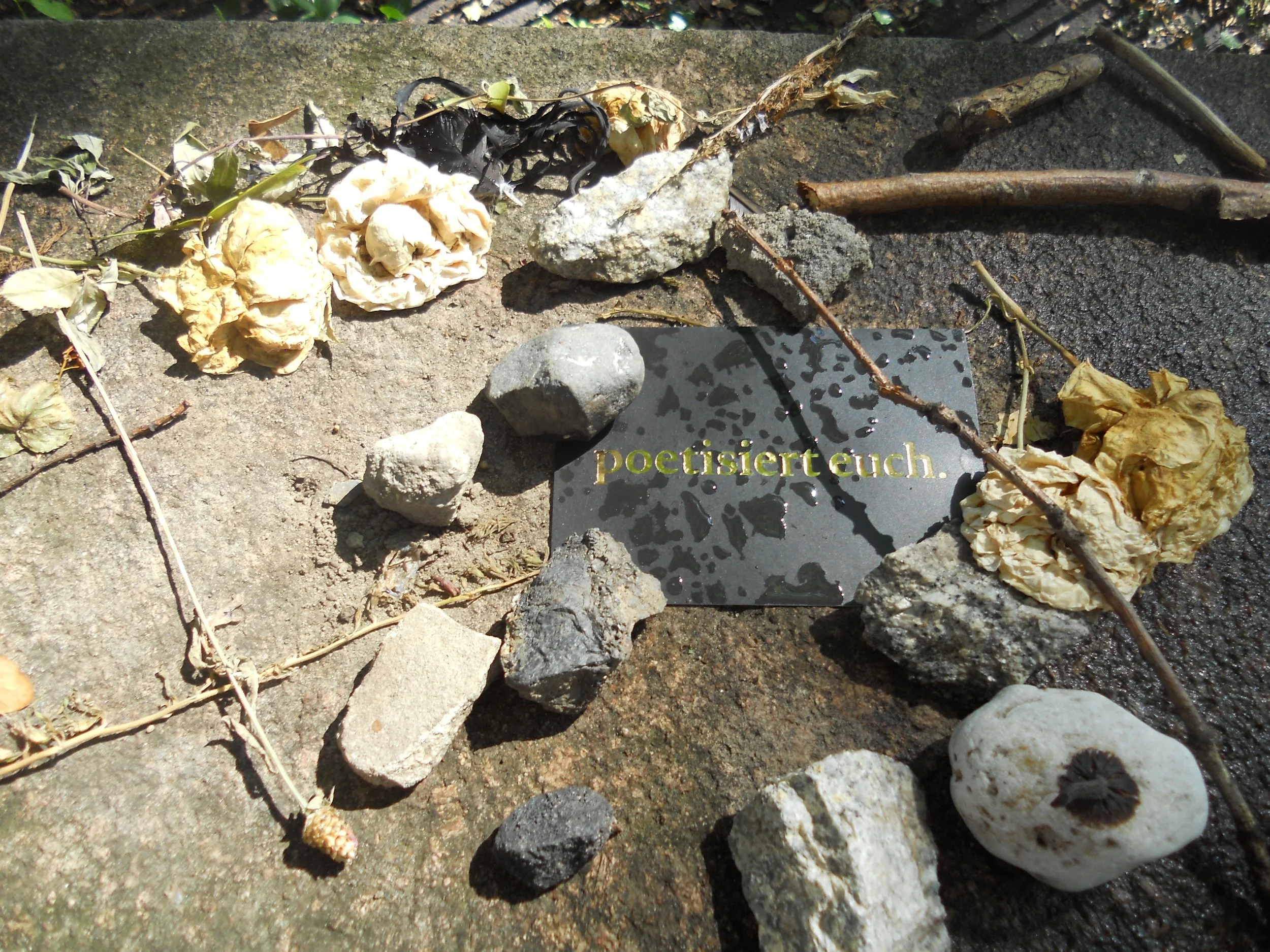 Poesie und Therapie