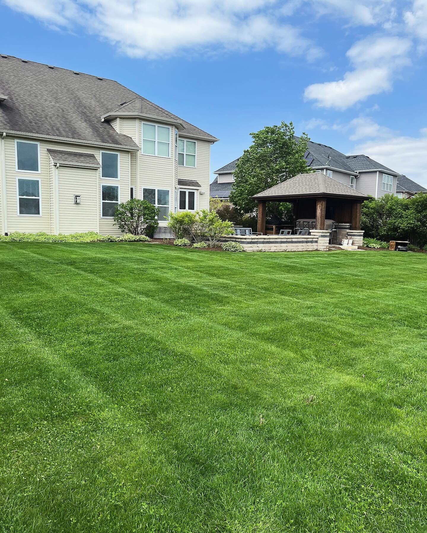 Lawn of the week for sure