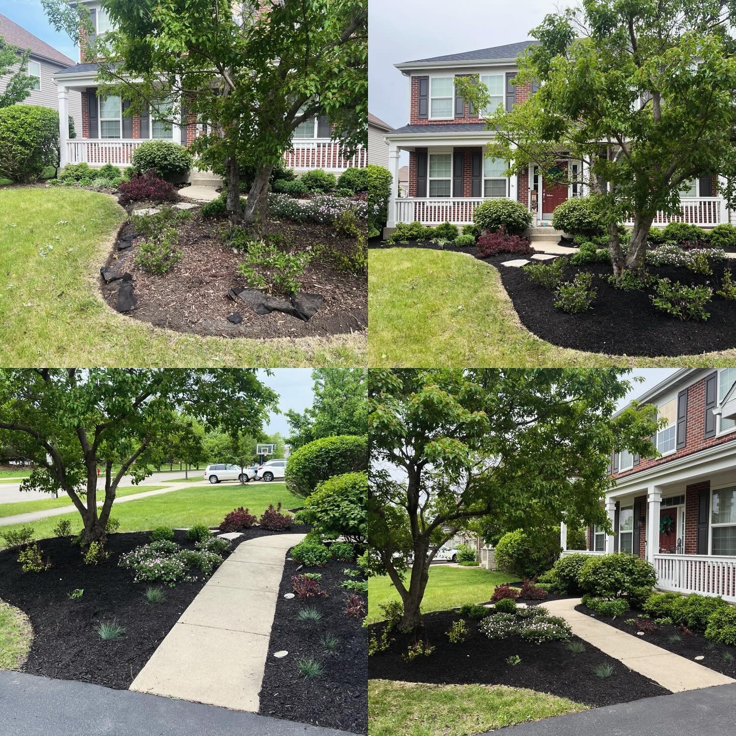 Monday morning mulch!