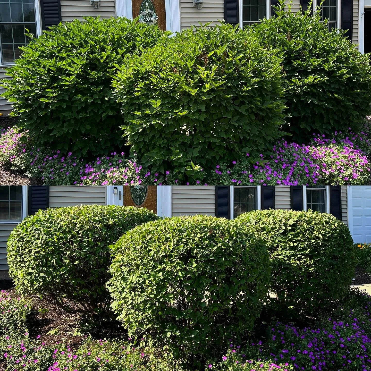 Hedging in the heat