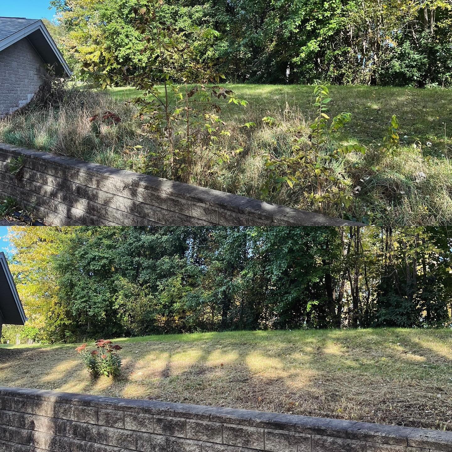 Some light brush clean up. I love jobs like this!