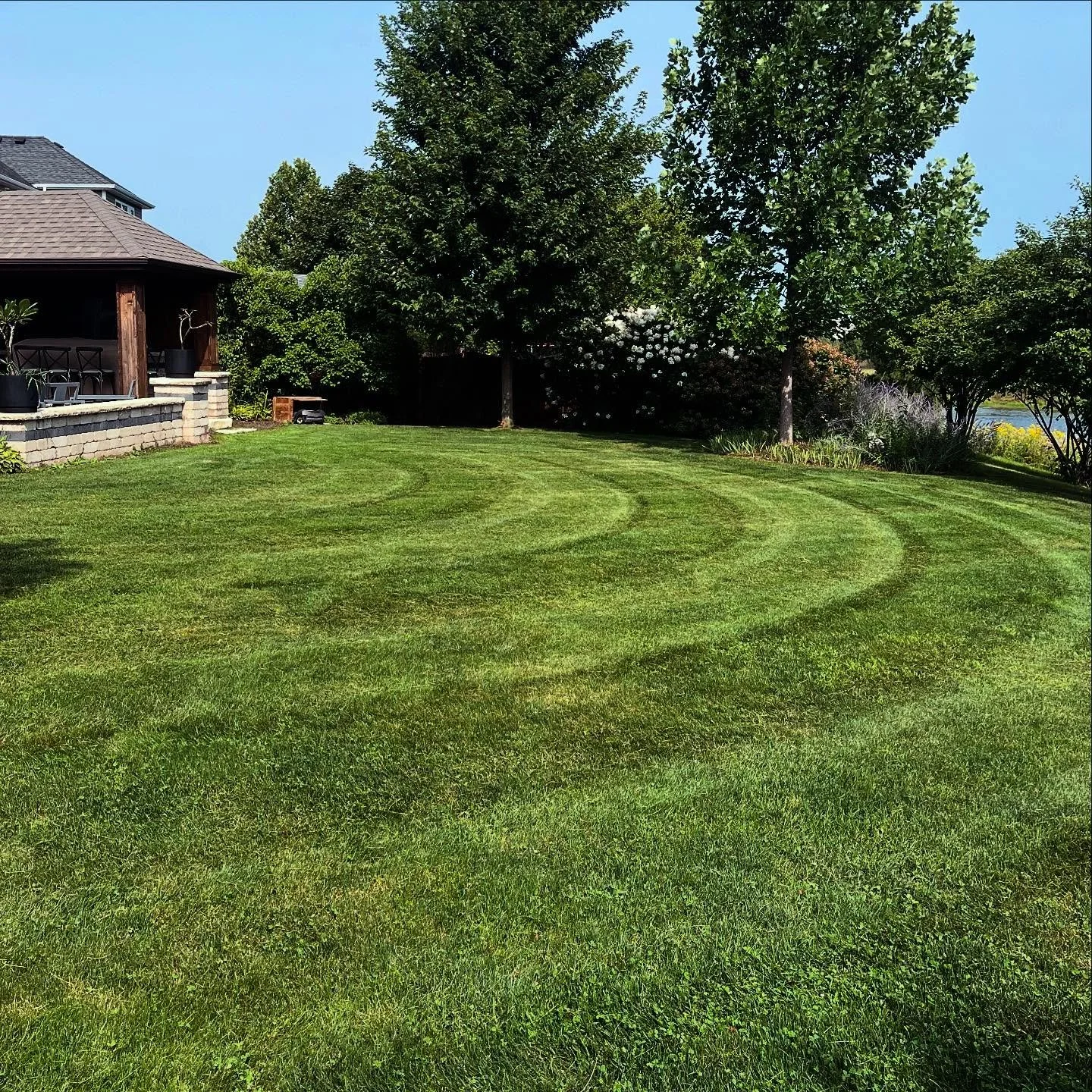 Grass is staying pretty healthy yet with more rain forecasted on the way!