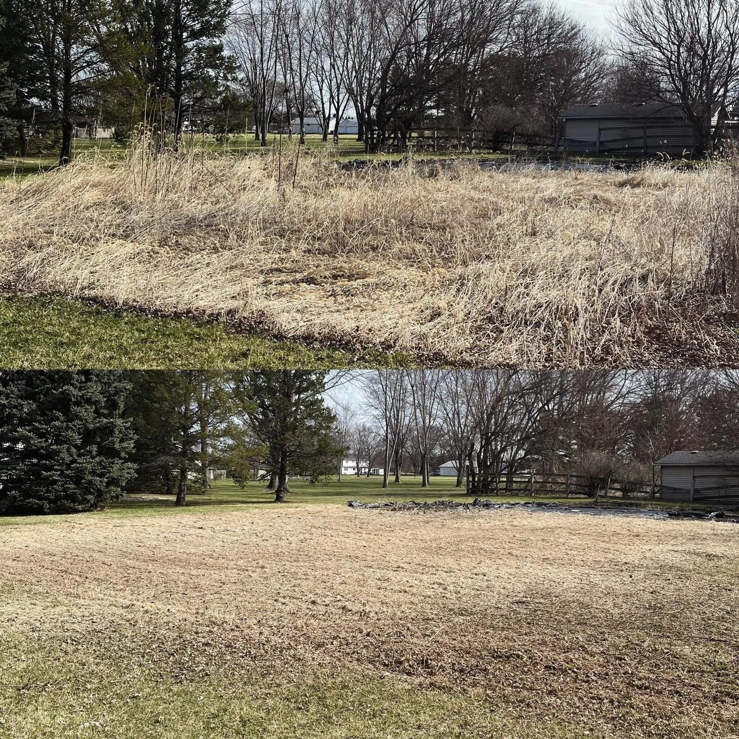 Just cutting some dead tall grass getting prepped for tilling. Love jobs like these, simple and fun!