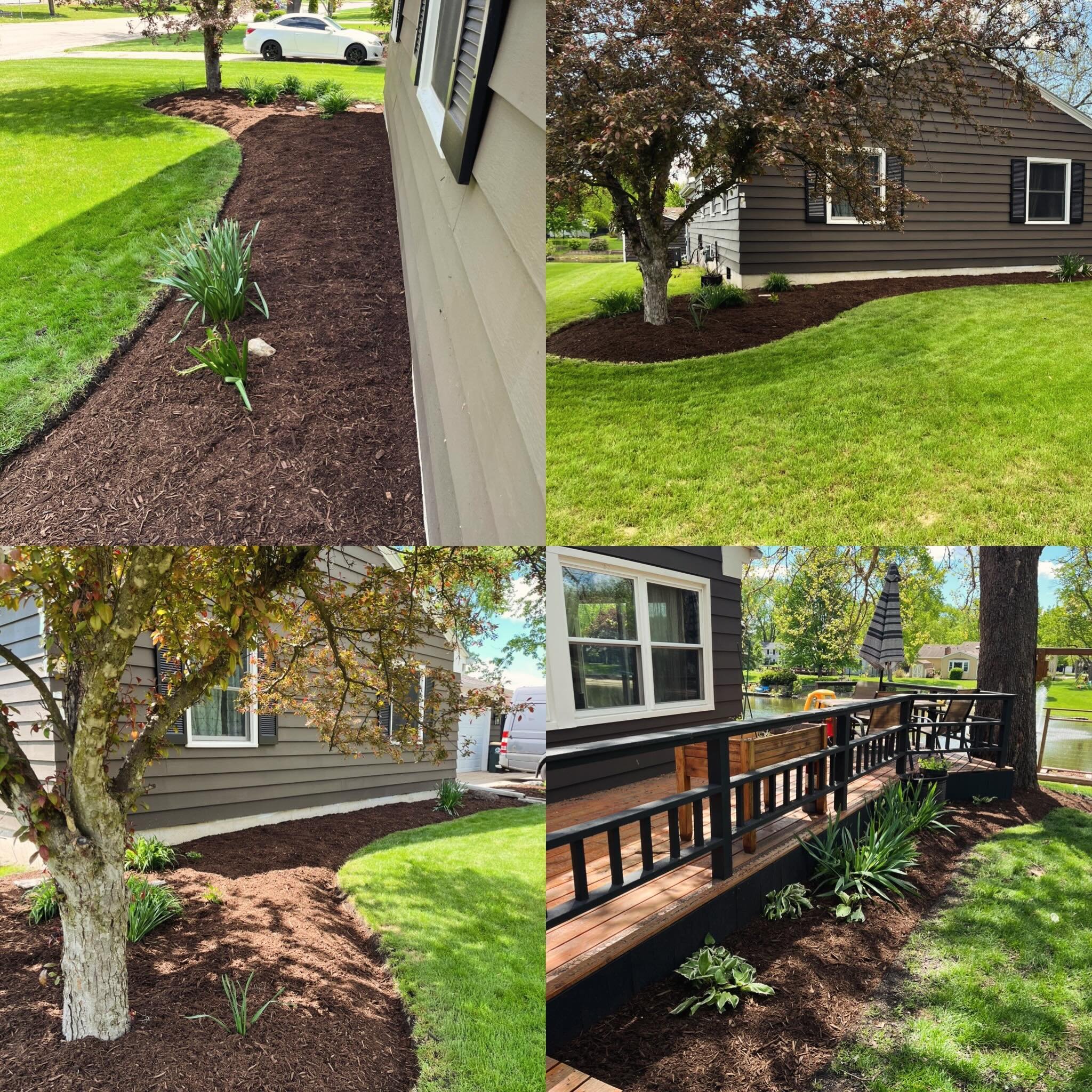 A little bit of mulch this morning. Nbd