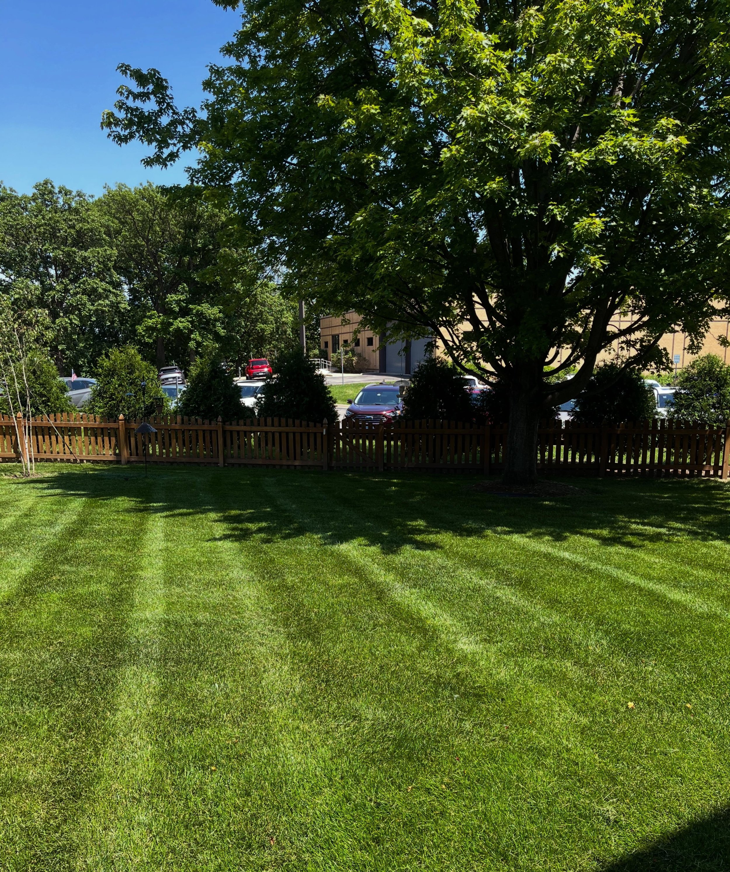 Thankful for plush lawns like this one!