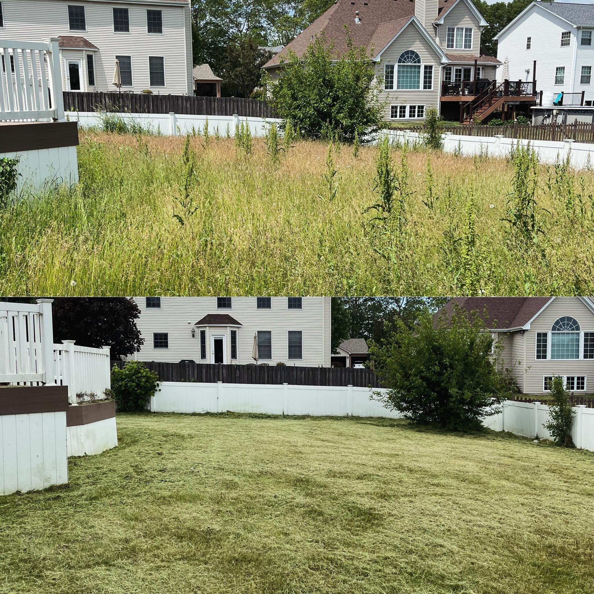 I had a call from a sweet lady the other day saying she recently had open heart surgery and that her yard had gotten away from her. I fully understand, the city however didn&rsquo;t and was threatening her with fines. I worked within her allowed budg