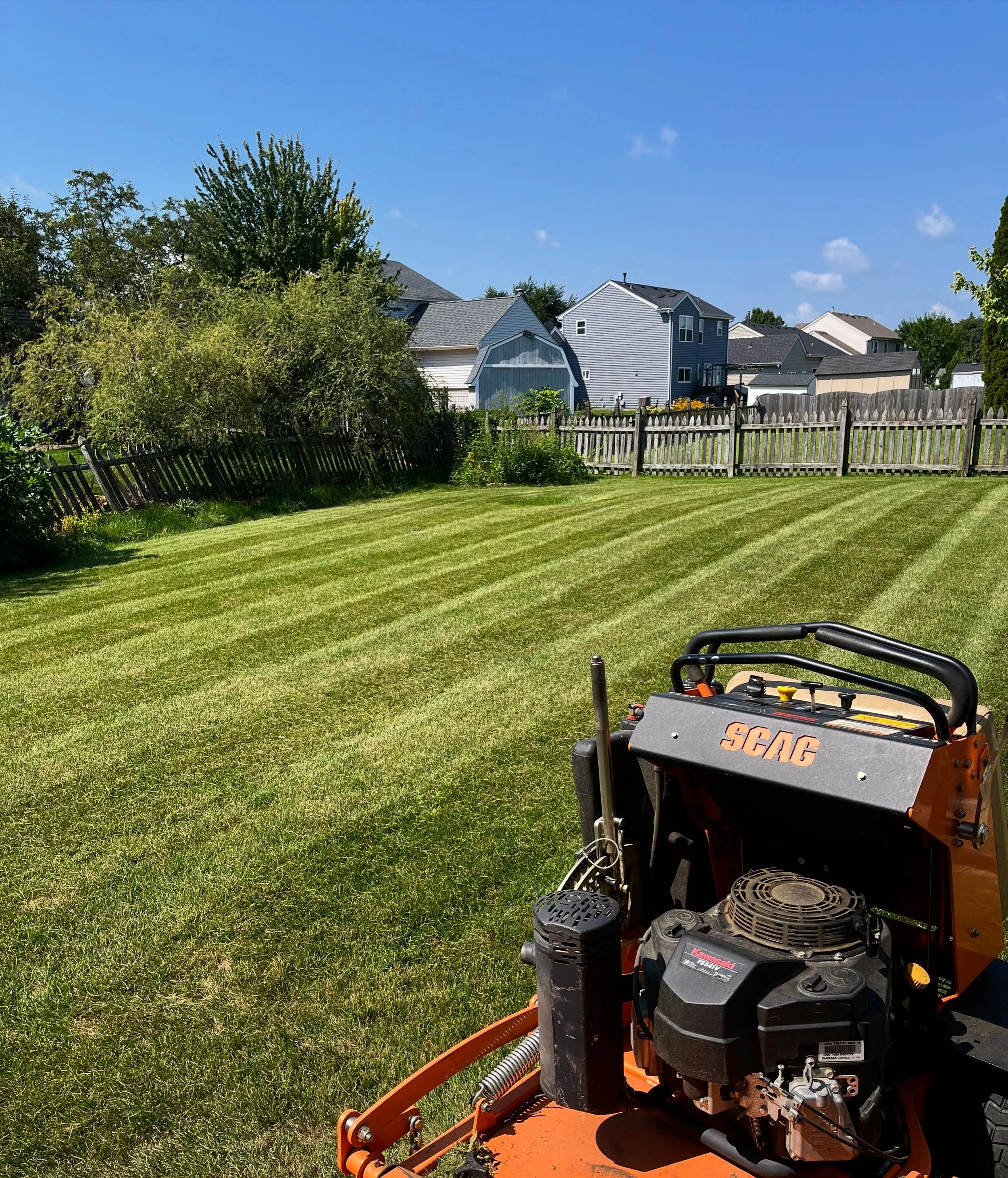 Grass is still plentiful! Hard to believe the season is almost over.