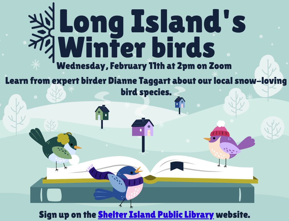 light green flyer features three illustrated birds in winter accessories perched on an open book. The snowy background includes tiny birdhouses, a snowflake icon, and event details for a Zoom presentation.