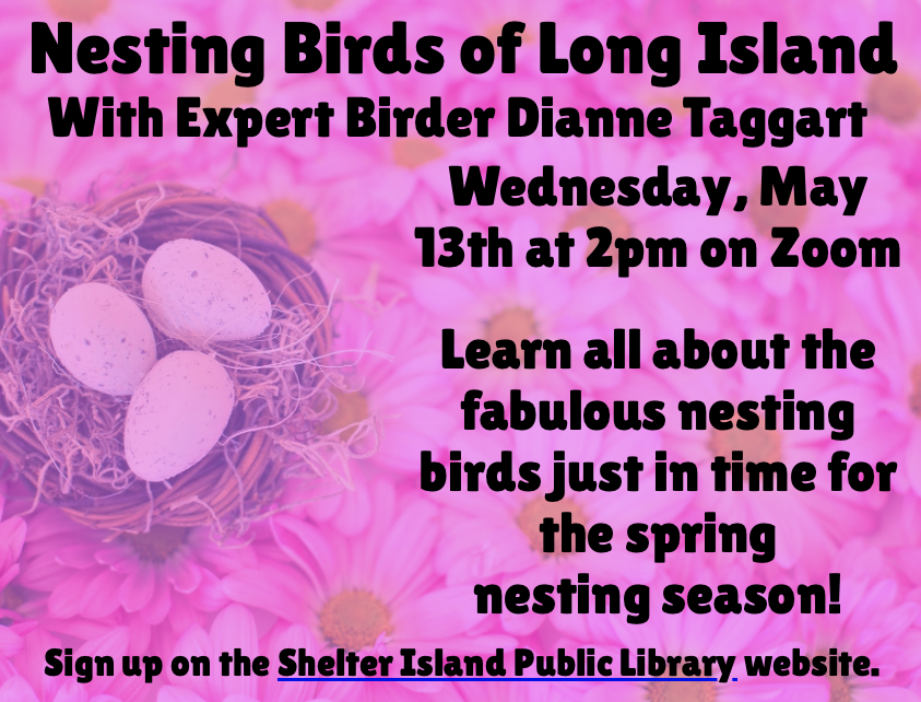 vibrant pink flyer featuring a background of blooming daisies. A small bird's nest containing three speckled eggs is positioned on the left, with bold black text overlaid across the floral imagery.