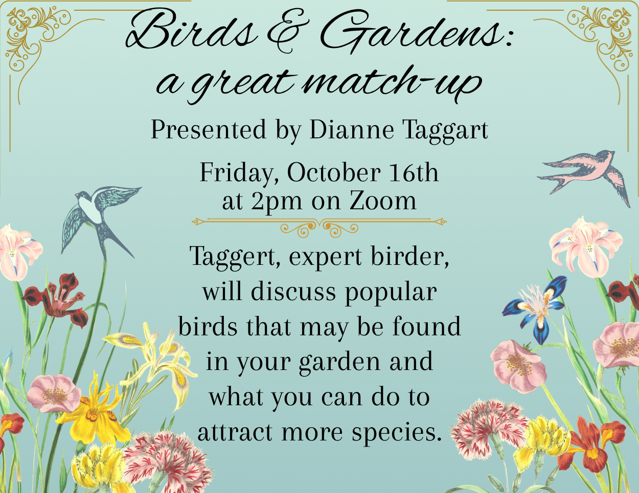 26-10-birds2.png