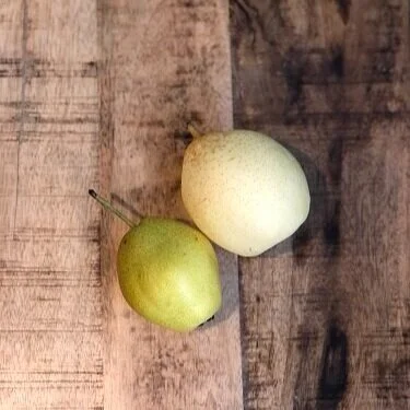 Not all Asian pears are created equal - introducing Fragrant Pear (left) and Ya Pear (right).