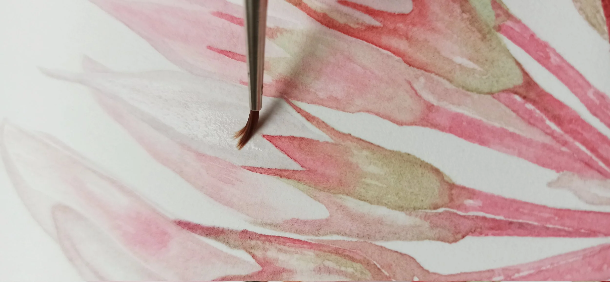 LIVRE - LE DESSIN BOTANIQUE DE A à Z