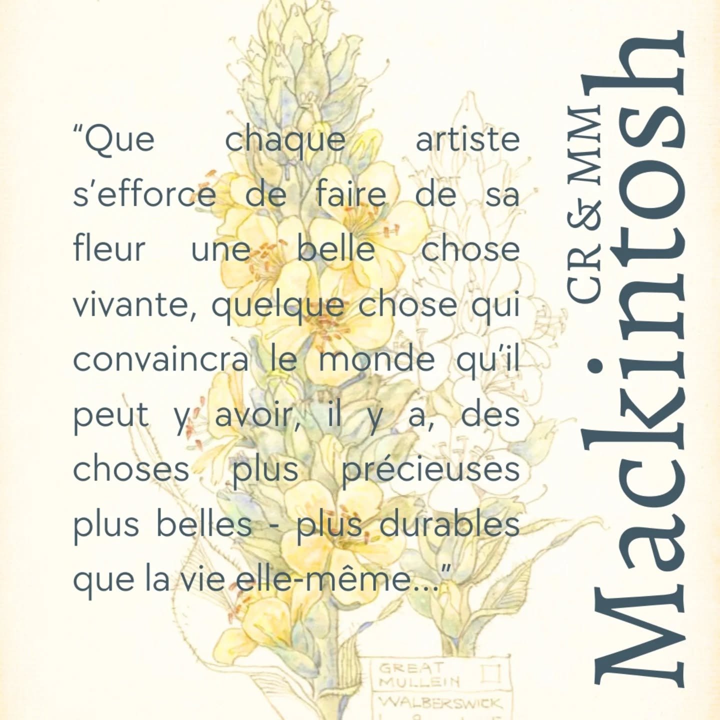 Je pr&eacute;pare avec d&eacute;lice le prochain stage sur &quot;Etudes botaniques &agrave; la mani&egrave;re du couple Margaret McDonald et Charles Rennie Mackintosh&quot;.
Je crois que je ne cesserai jamais de m'&eacute;merveiller de tant de gr&aci