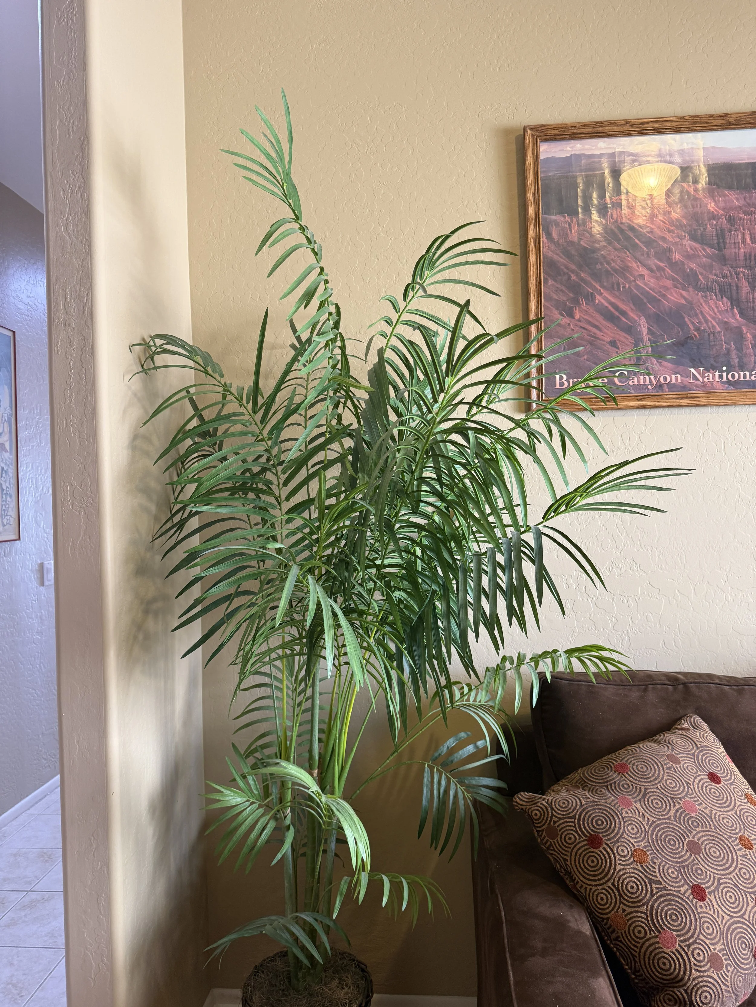 387.JPG