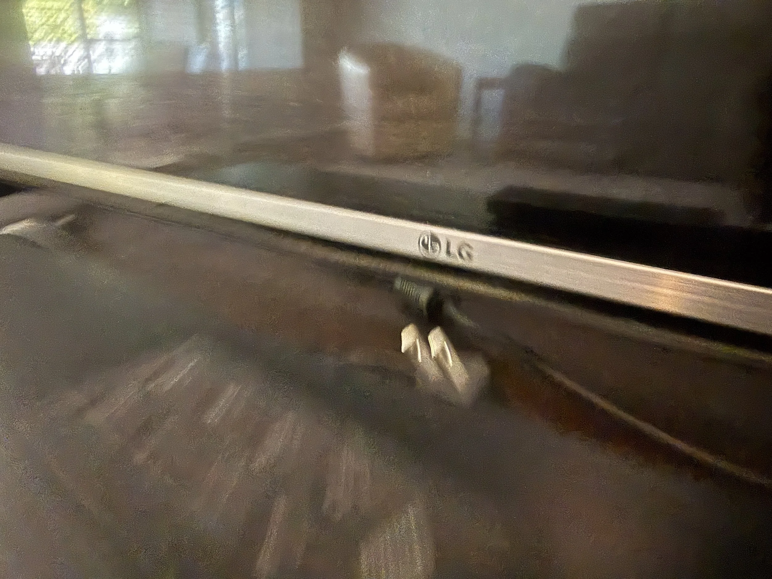 239.JPG
