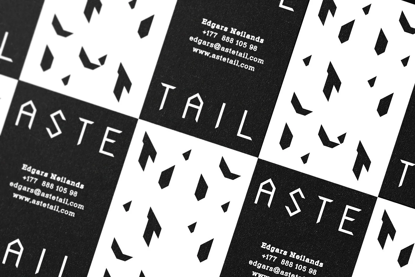 ASTE mugduars logo on taliss b.jpg