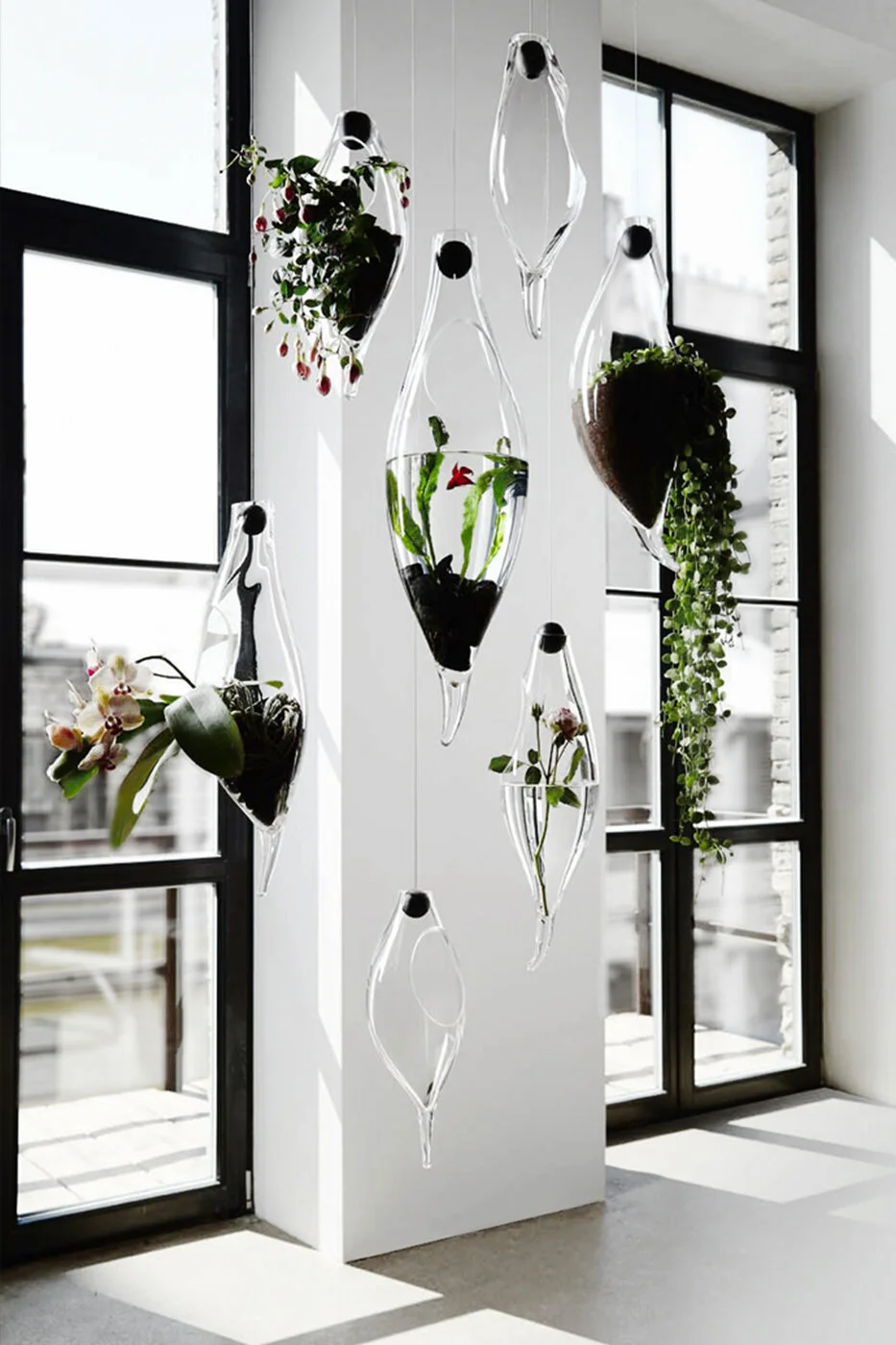 GLASS OASIS interior 1.jpg