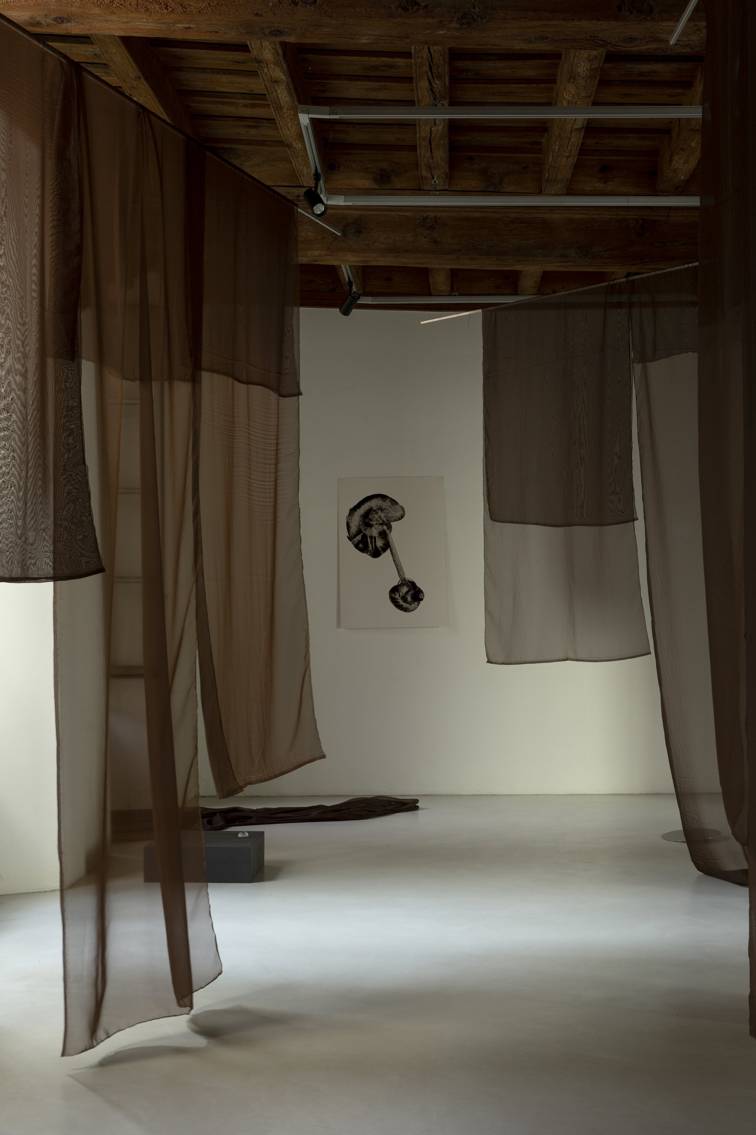Lake Como Design Festival_Spazio Natta_ph.Nicolò_Panzeri_04.jpg
