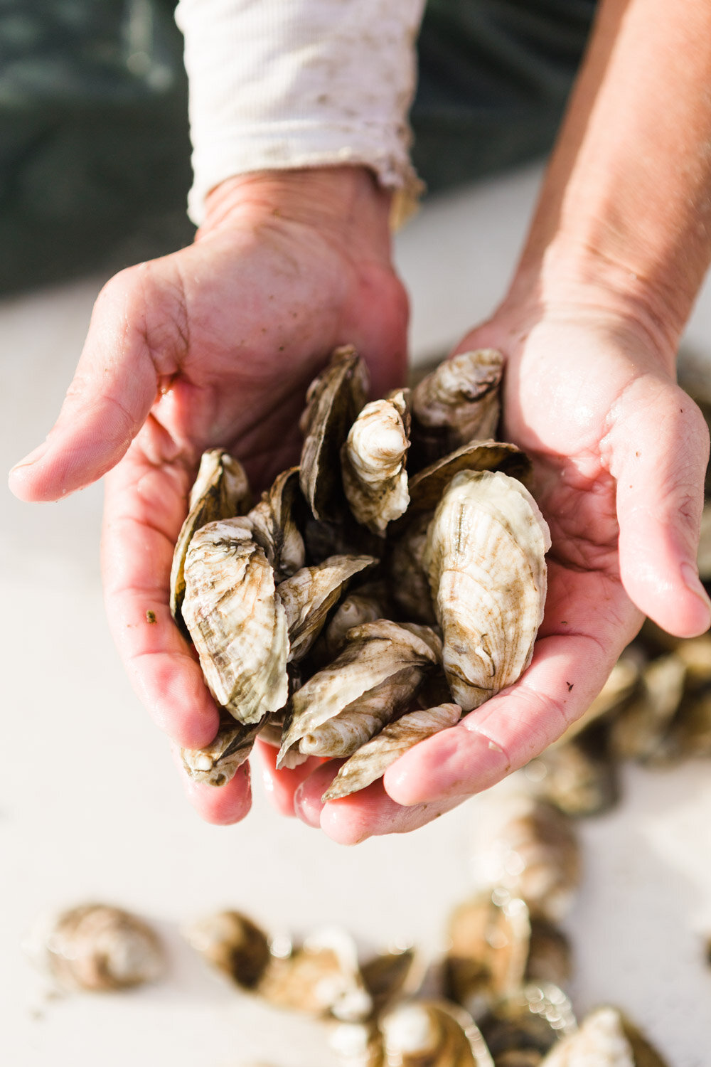 slash creek oysters_baxter miller-39.jpg