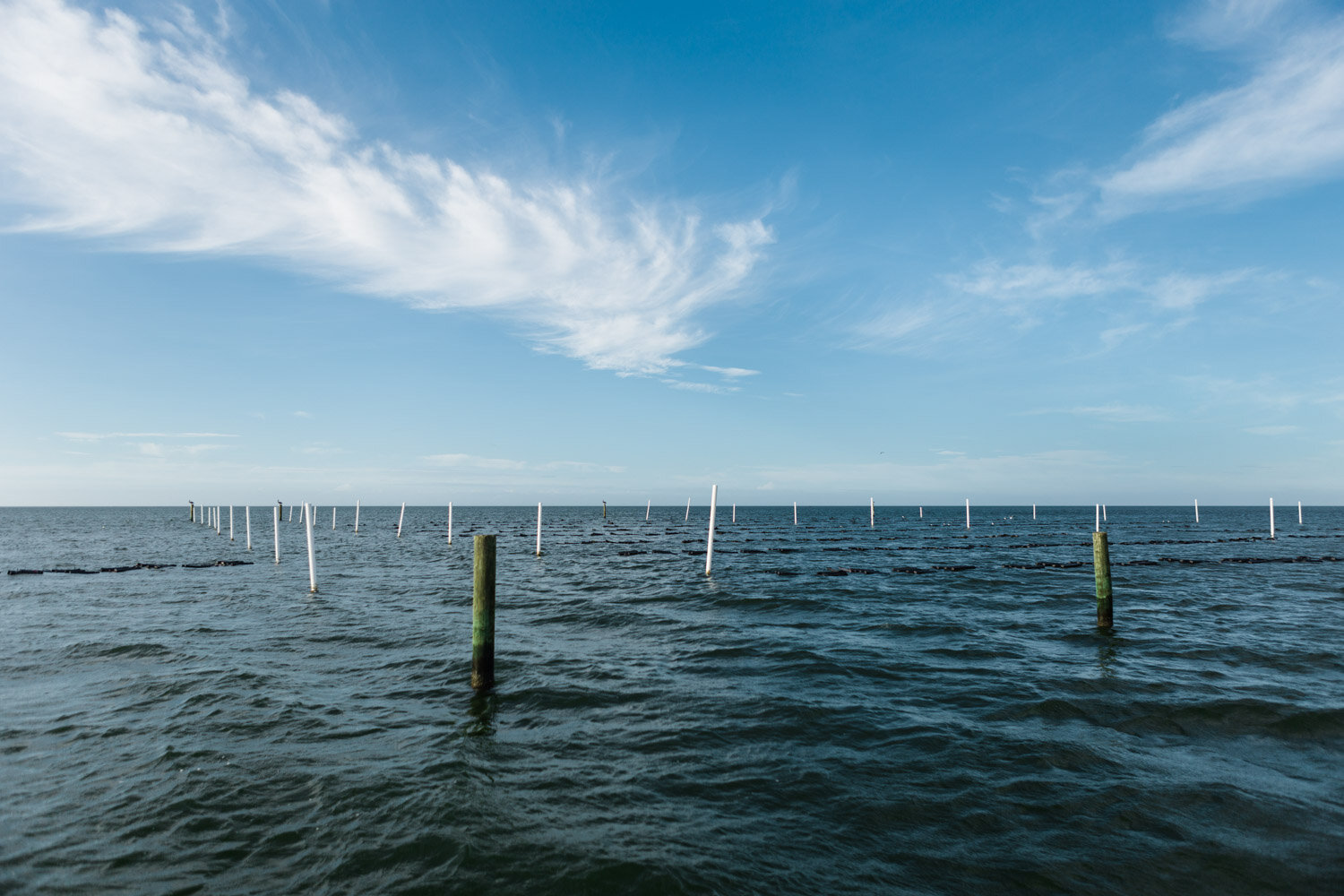 slash creek oysters_baxter miller-17.jpg