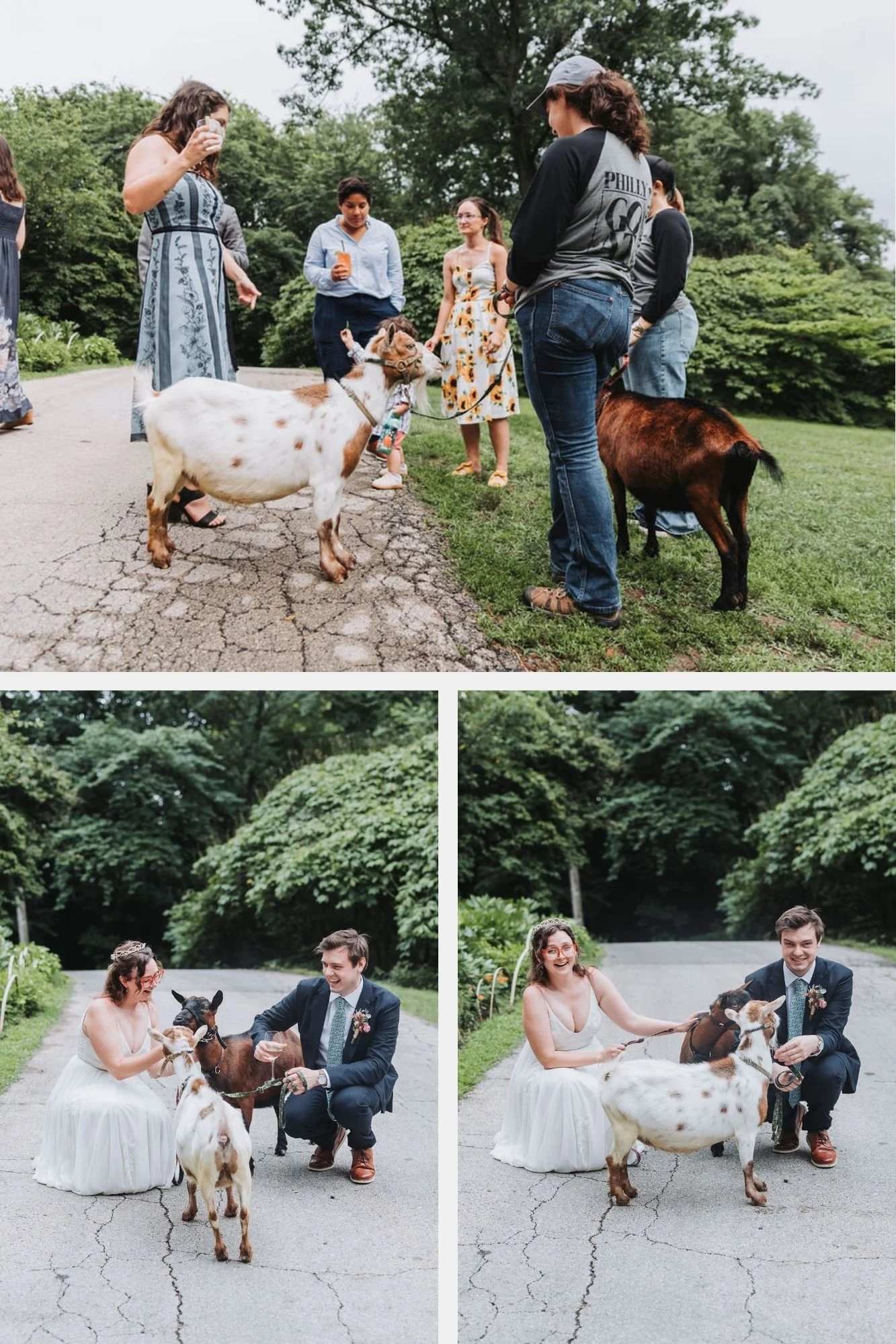 Philly-Goat-Project-Wedding-1.jpg