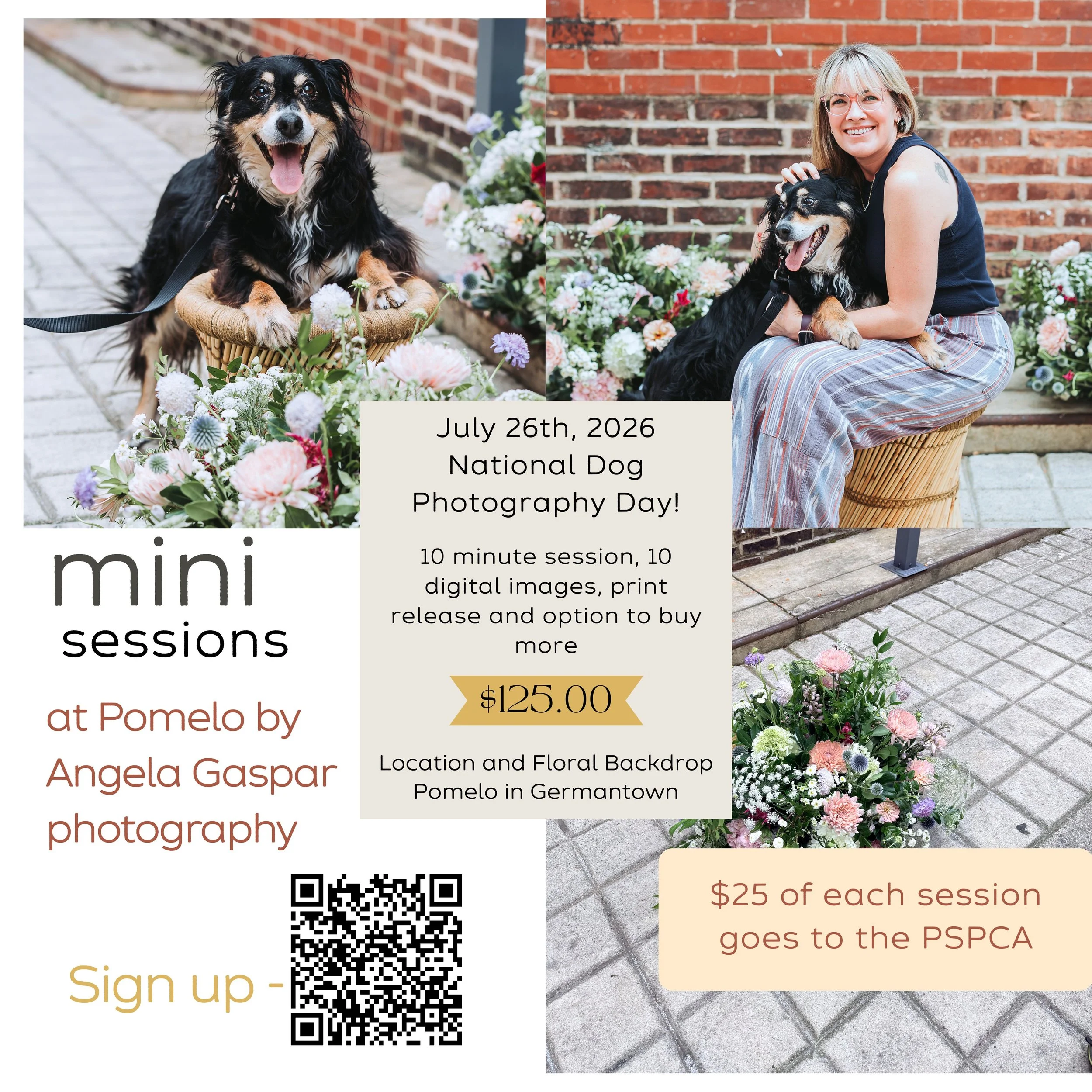 Dog-mini-sessions-philadelphia.jpg