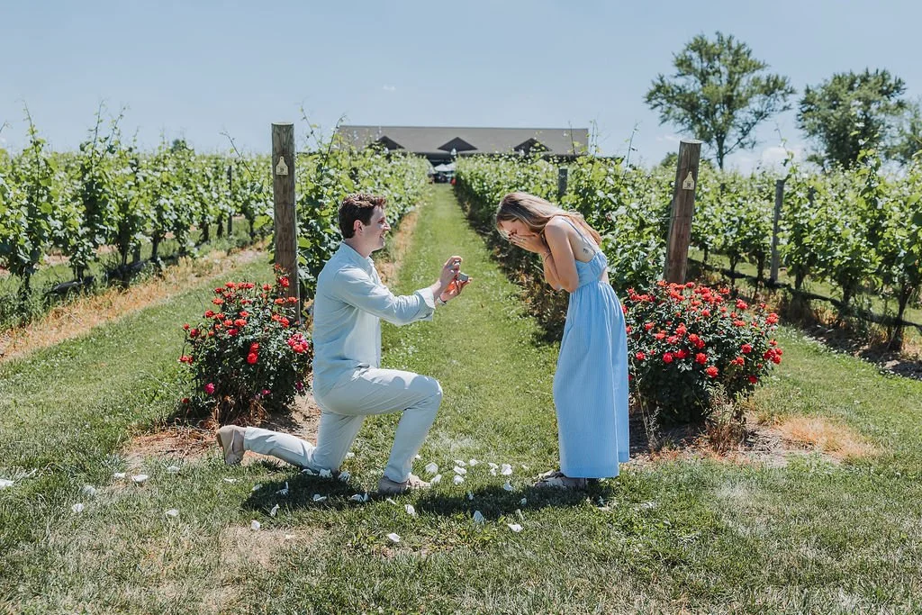 Saddlehill-Winery-Proposal-5.jpg