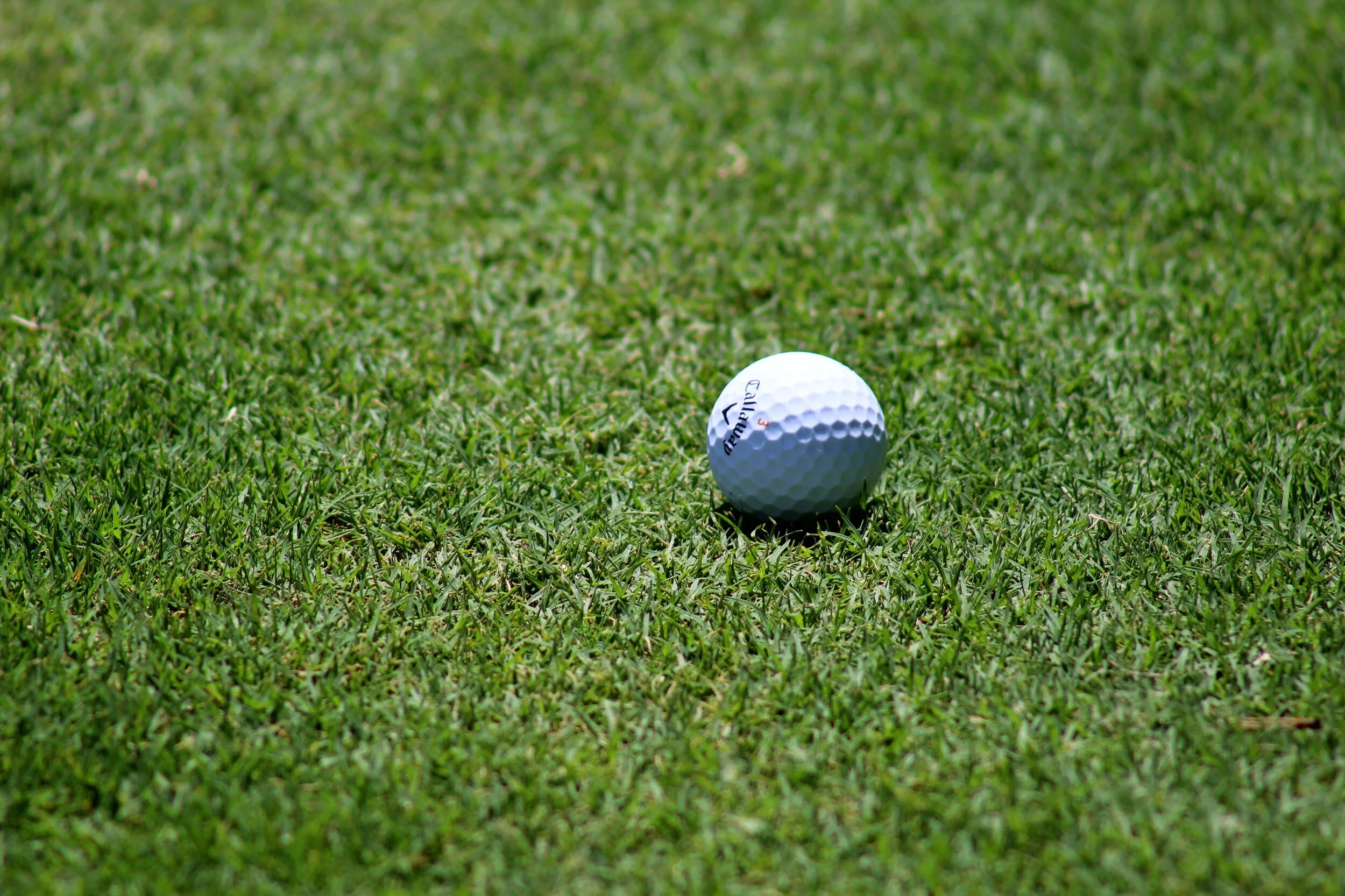 Unreliable Numbers Are Par for the Course