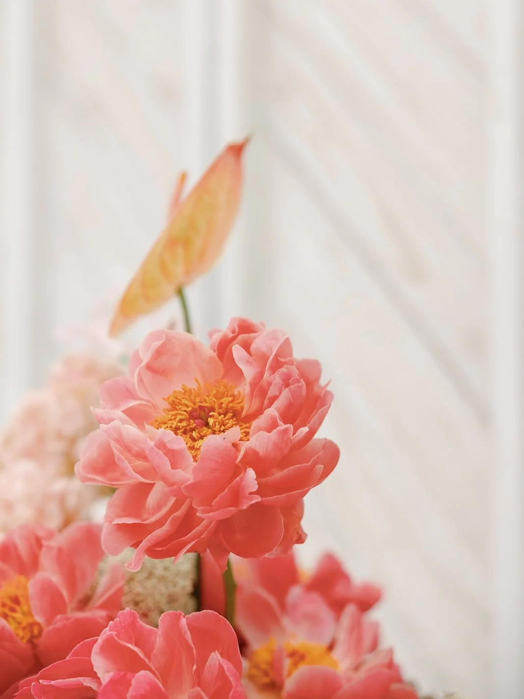 @farm12puyallup // @solaleephoto // @emm.floral // @marzanoevents 

#seattleweddingplanner #seattleweddingcoordinator #seattlewedding #seattlebride
#weddingplanning