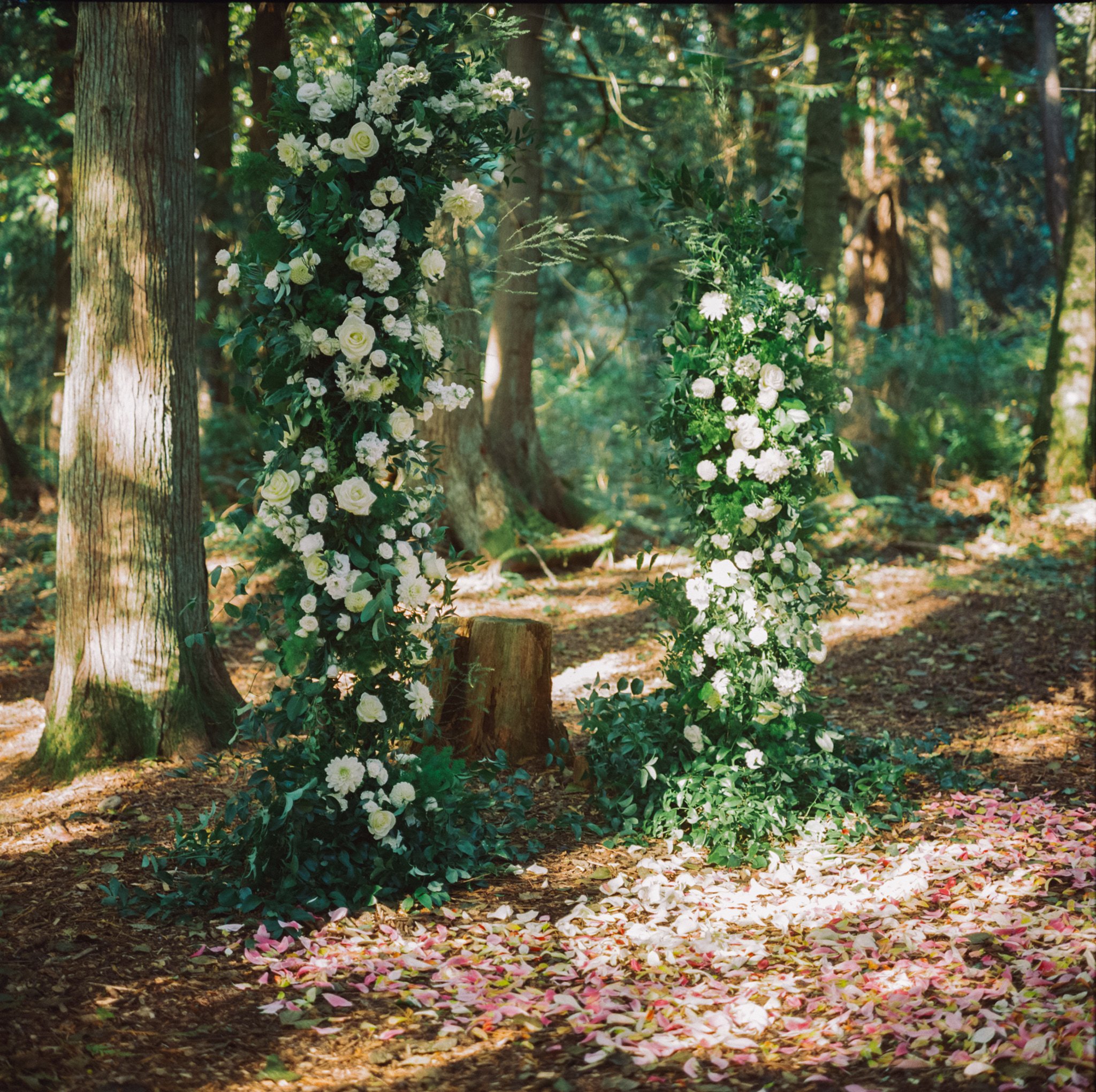 2024.10.12.rollei.c41.012.jpg