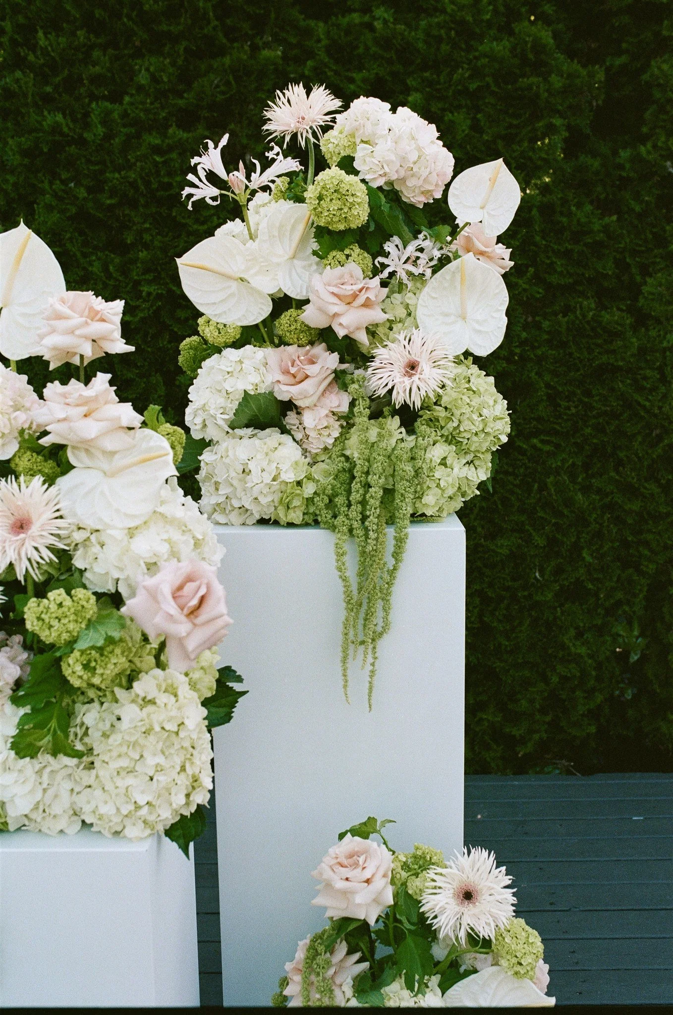 HANNAH + SAM - 35MM-49.jpg