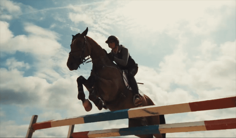 Zoetis Performance Horse Care