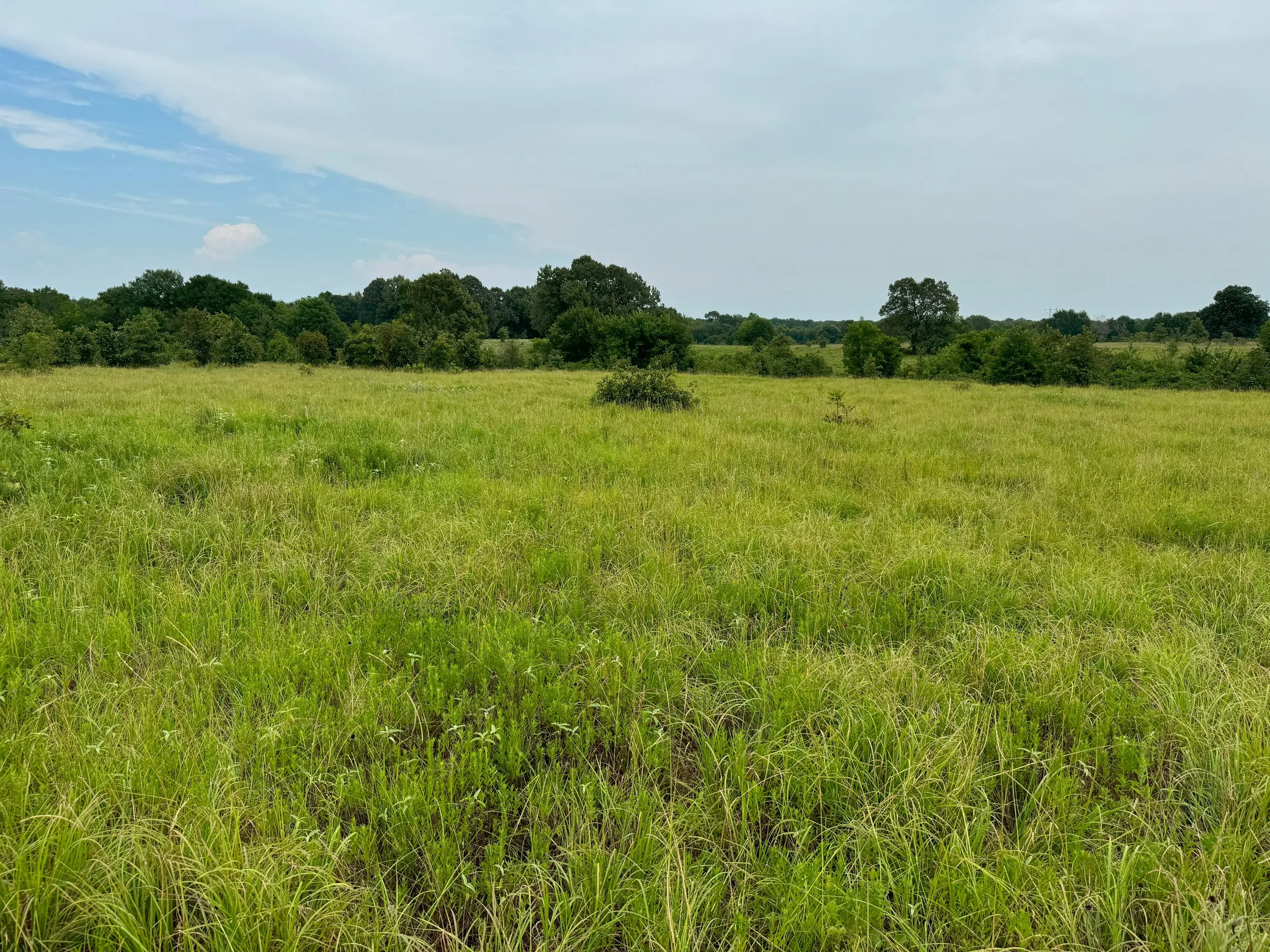 L & N Ranch — James Sammons III