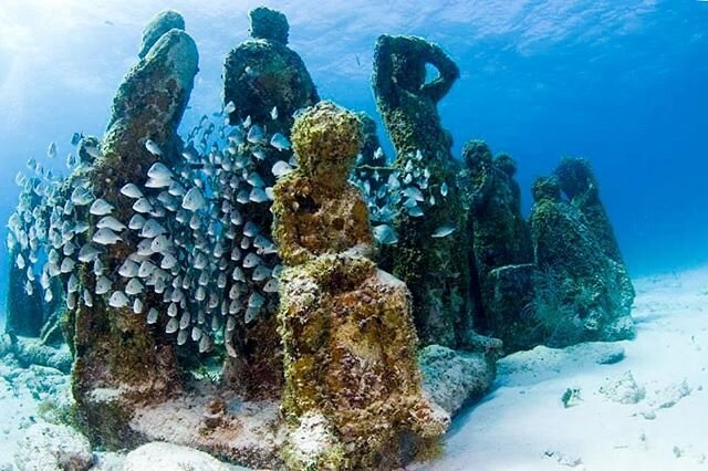 Check out this different type of museum! 
MUSA is an underwater art museum in between Cancun and Isla Mujeres. Over 500 sculptures by six artists were designed and installed to encourage the growth of coral and replenish the habitat of tropical marin
