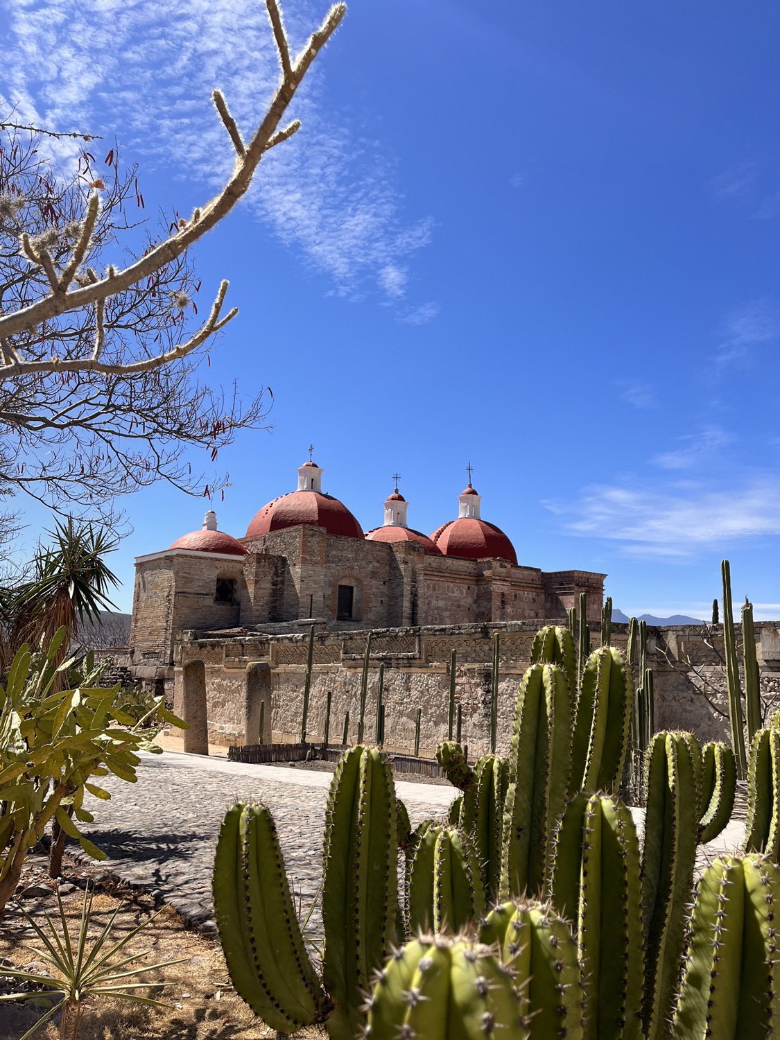 old building in oaxaca