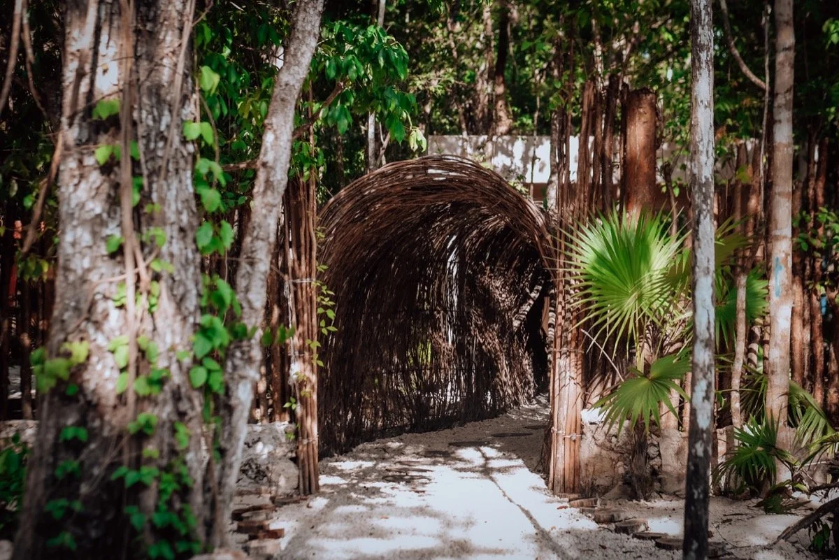 A pathway leading to a bamboo tunnel in a lush, tropical forest with palm leaves.