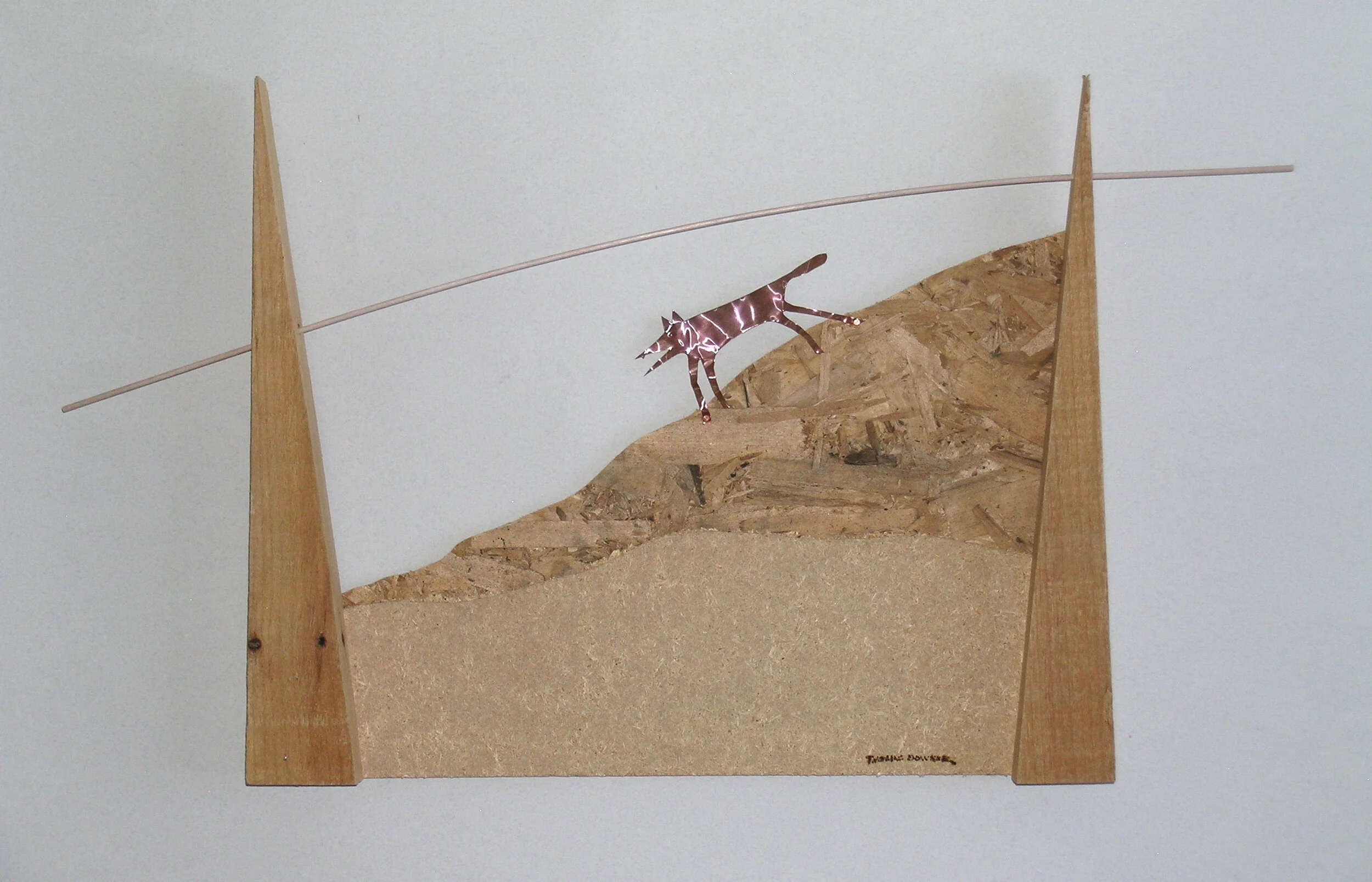 Coyote Traversing the Landscape