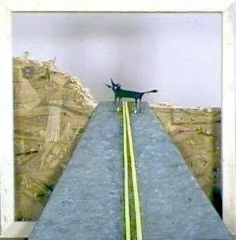 Coyote Crossing a Country Road      