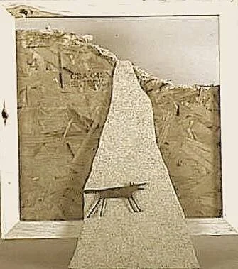 Coyote Crossing A Gravel Road       