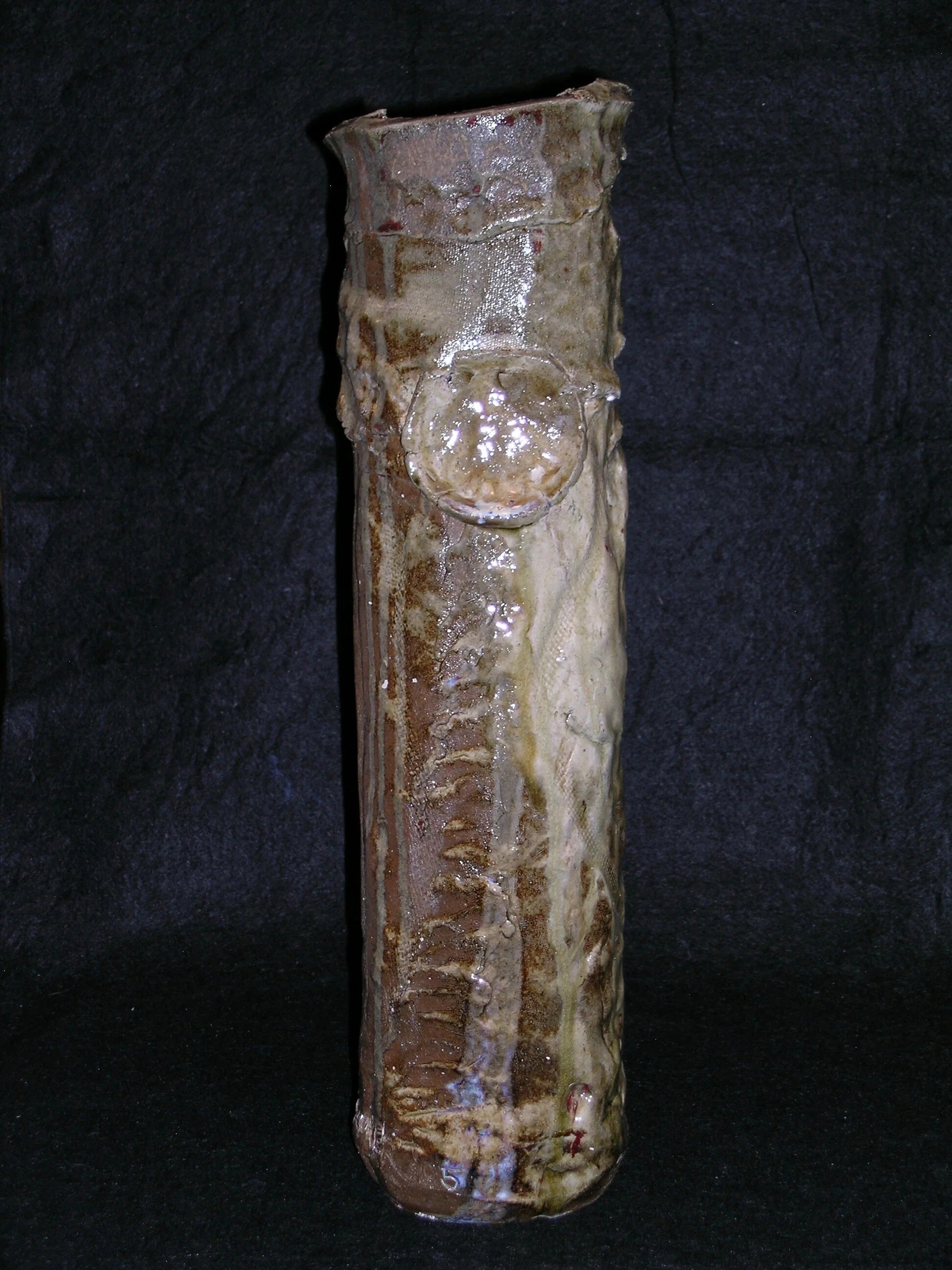 42TBLeelanau Series.Forest Remnant.jpeg