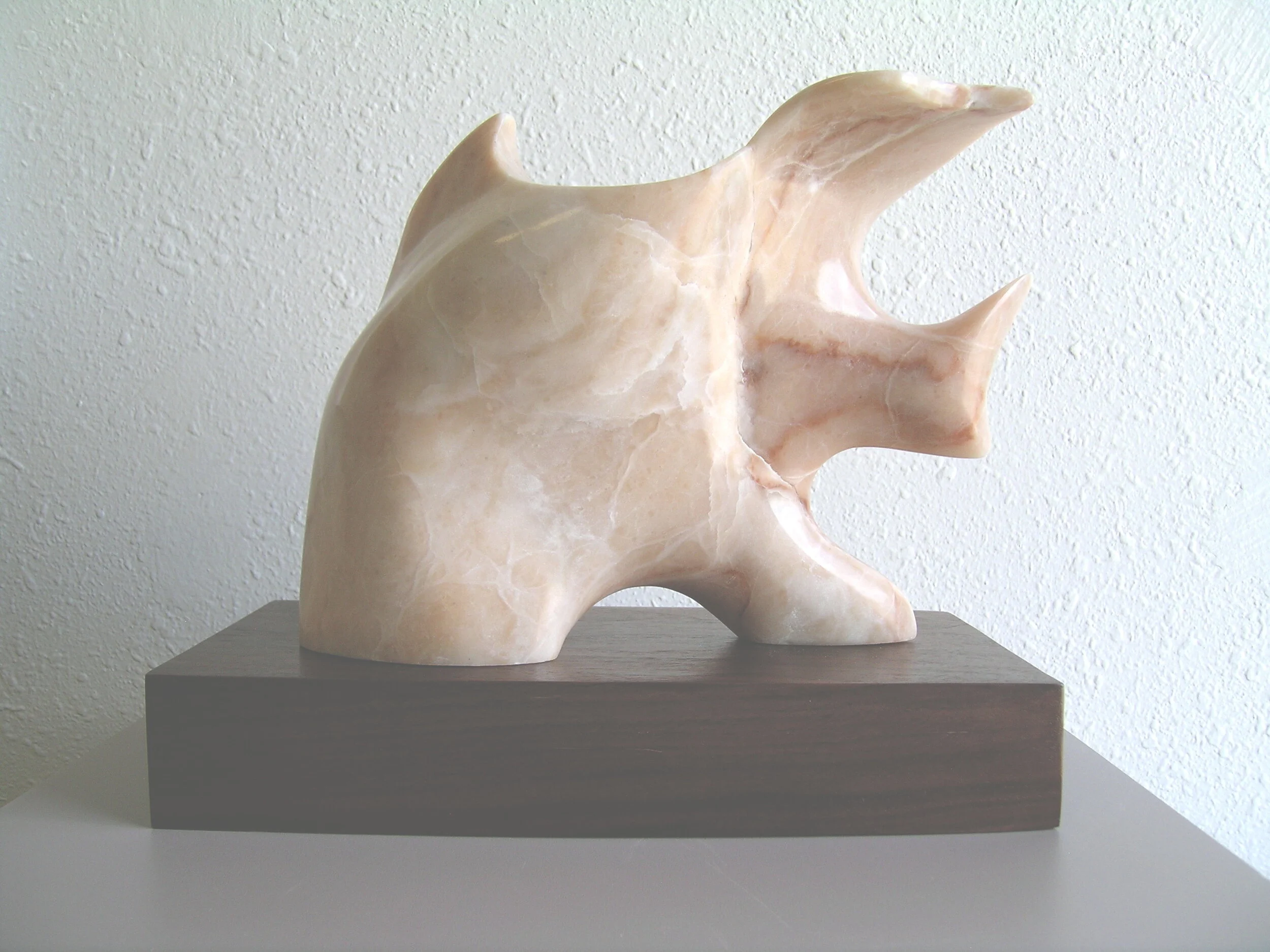 Pisces Series: Playful Pisces