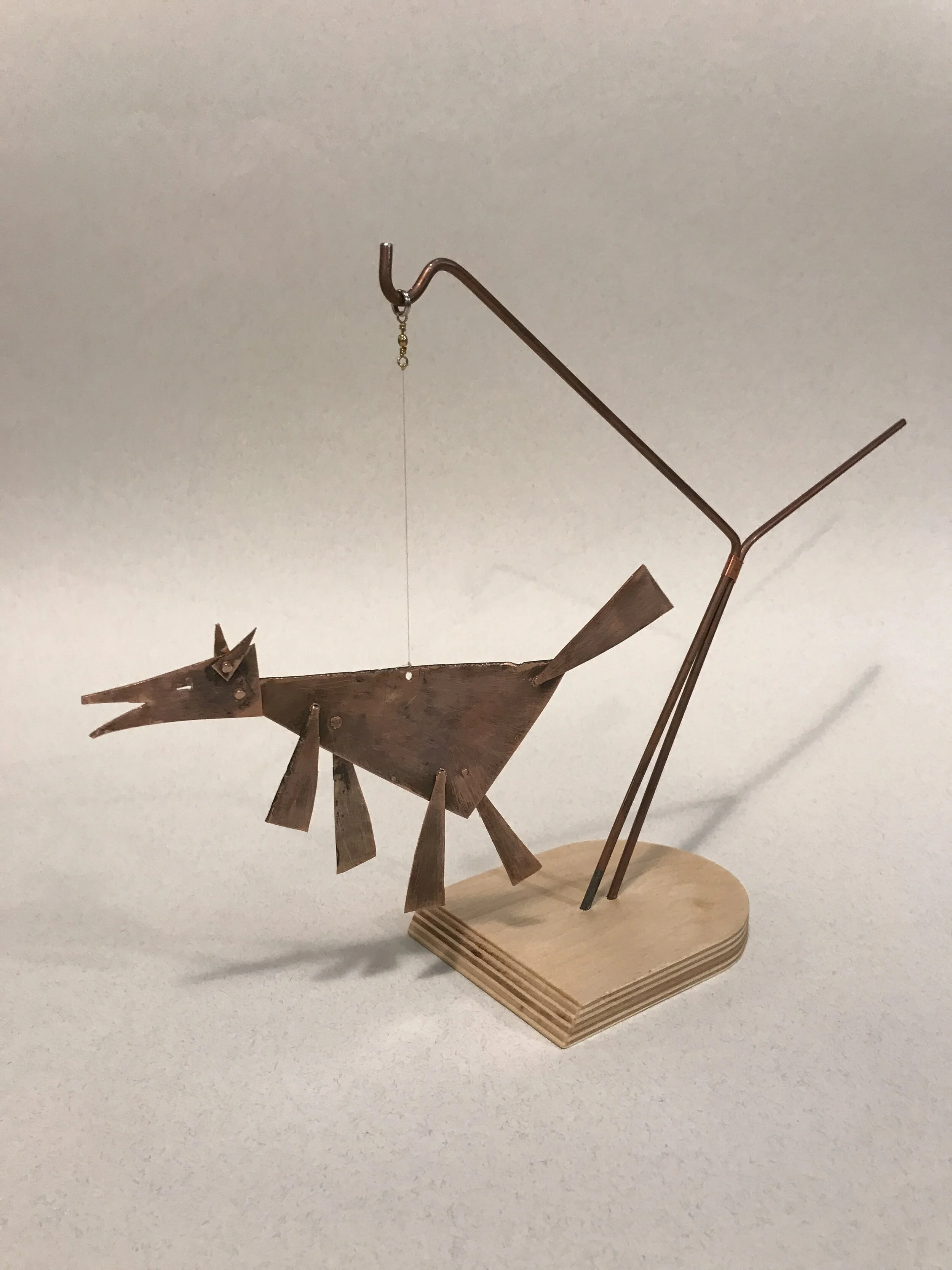 Calder Coyote