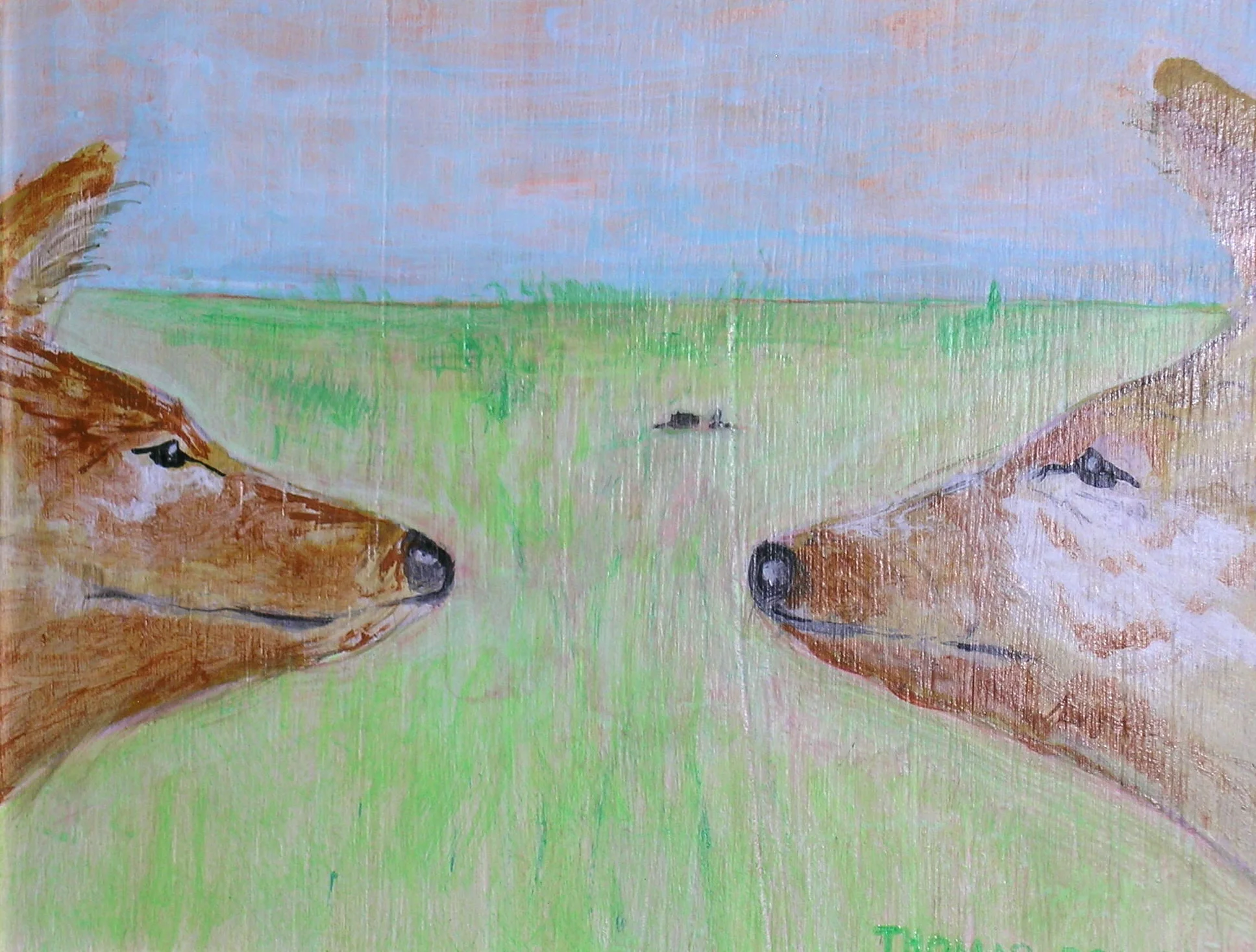 CONSPIRING COYOTES