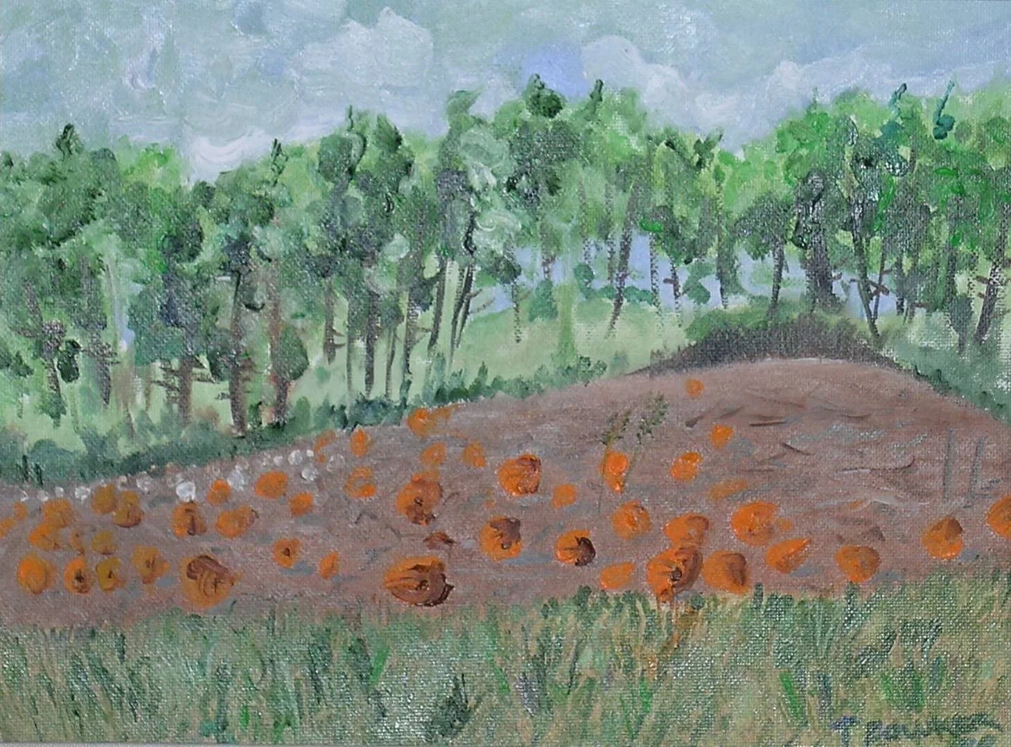 HOUDEK'S PUMPKIN PATCH