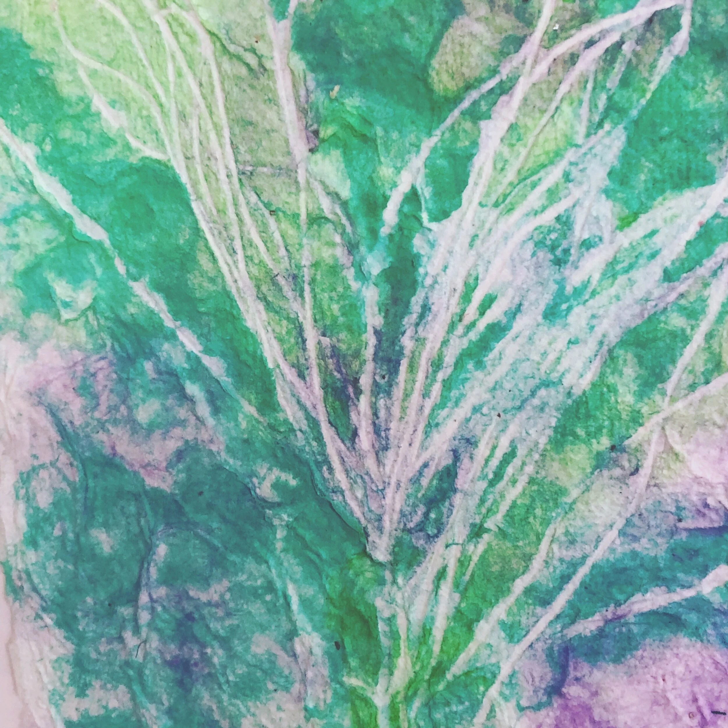 09CBTree Fern in Sunlight.jpeg