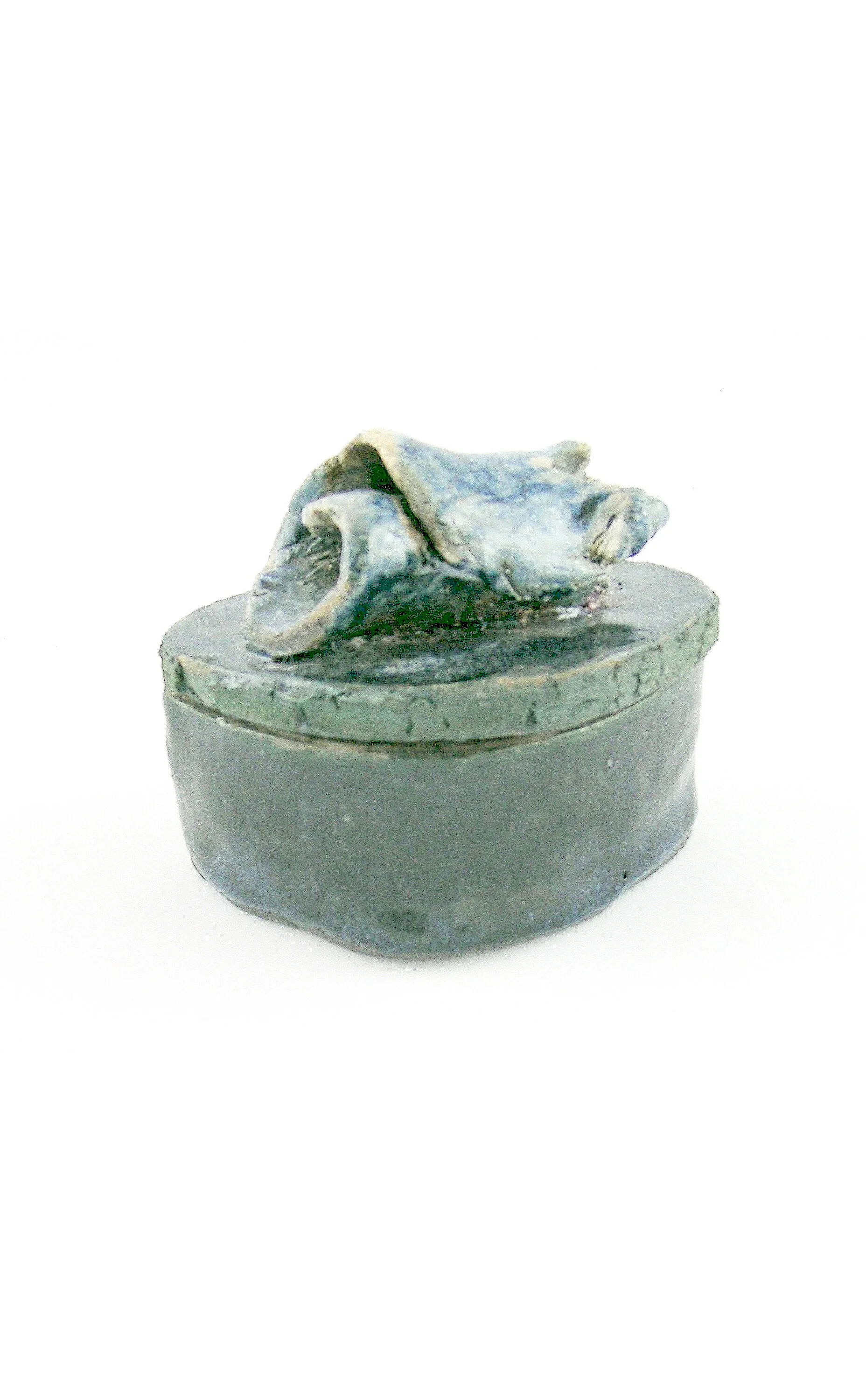BLUE CONCH JEWEL BOX