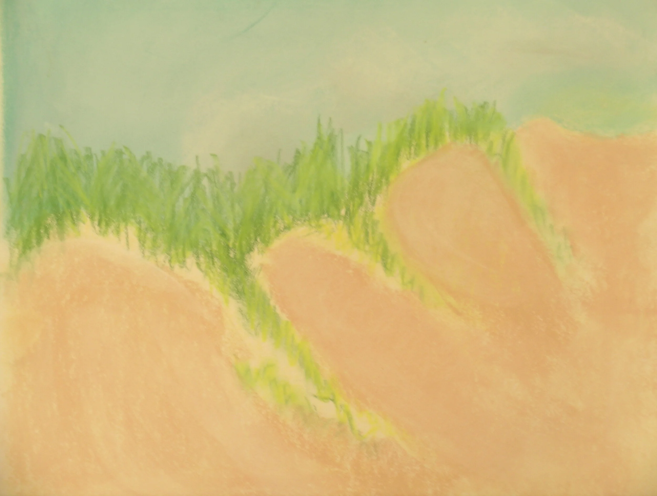 LAKE MICHIGAN | CATHEAD BAY DUNES