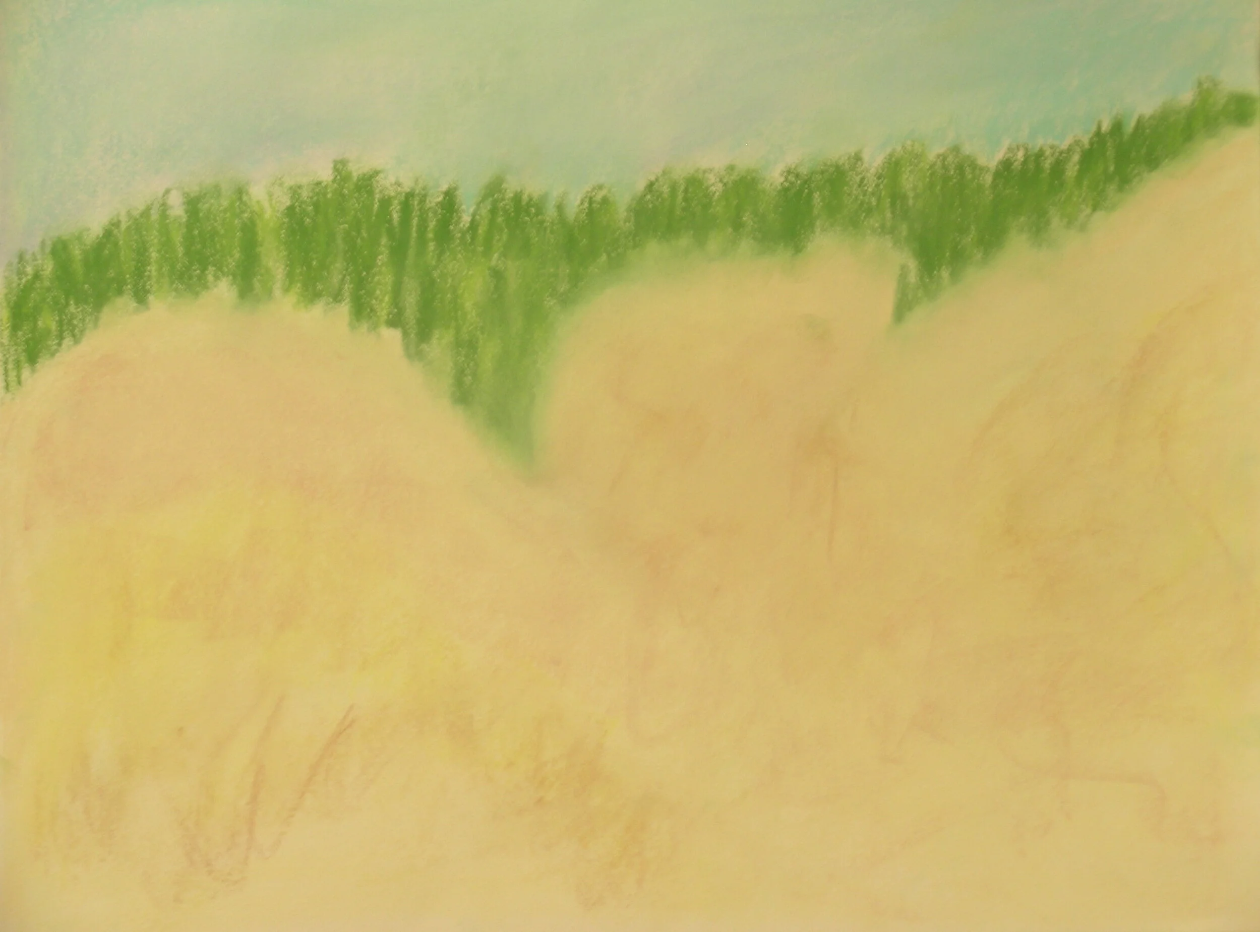 LAKE MICHIGAN | CATHEAD BAY DUNES 2